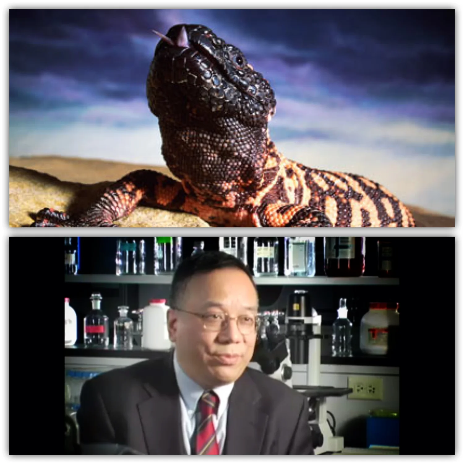 john eng glp 1 2013: Diabetes Medication — The Golden Goose Award