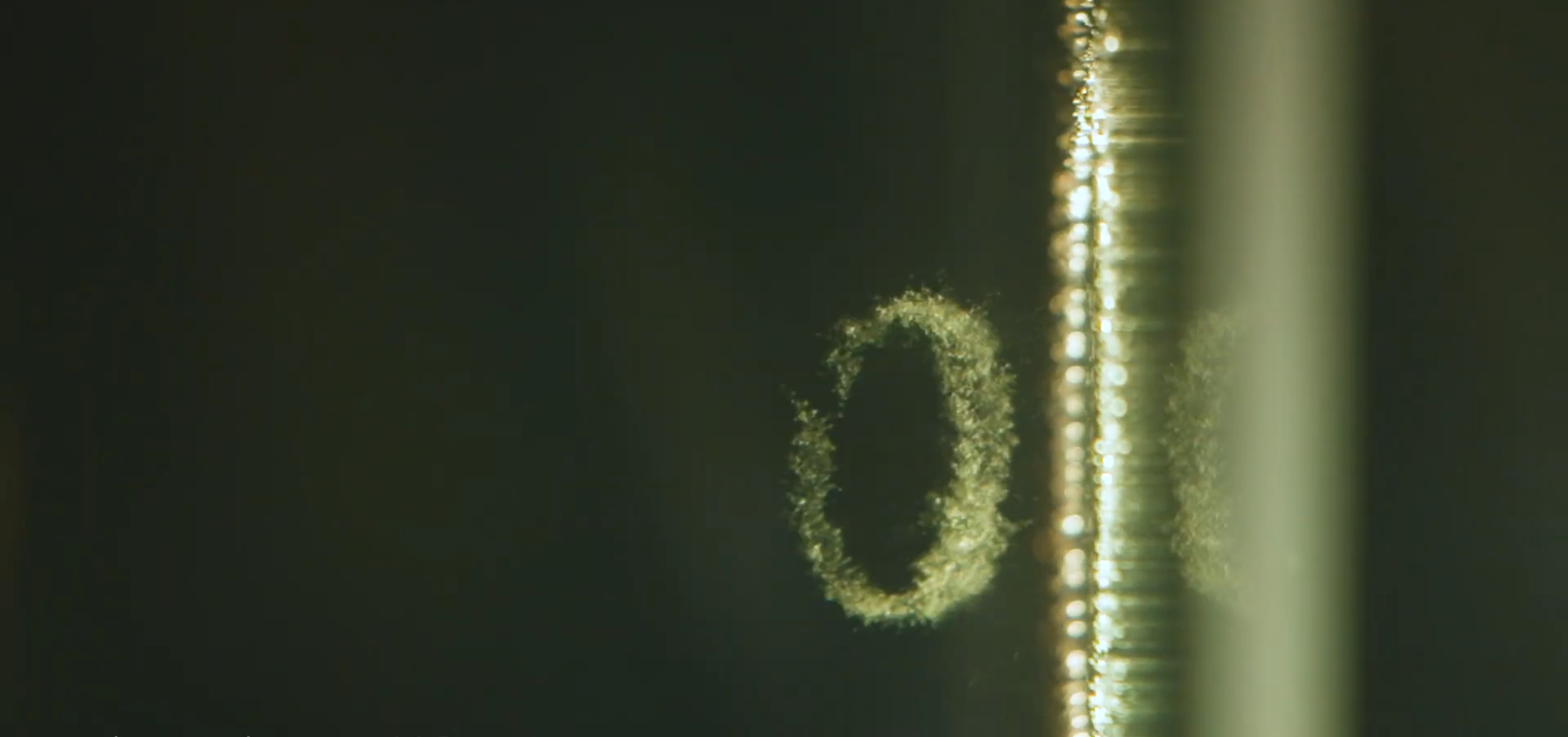 From Noisy Lab Experiment to Novel Cancer Technology
