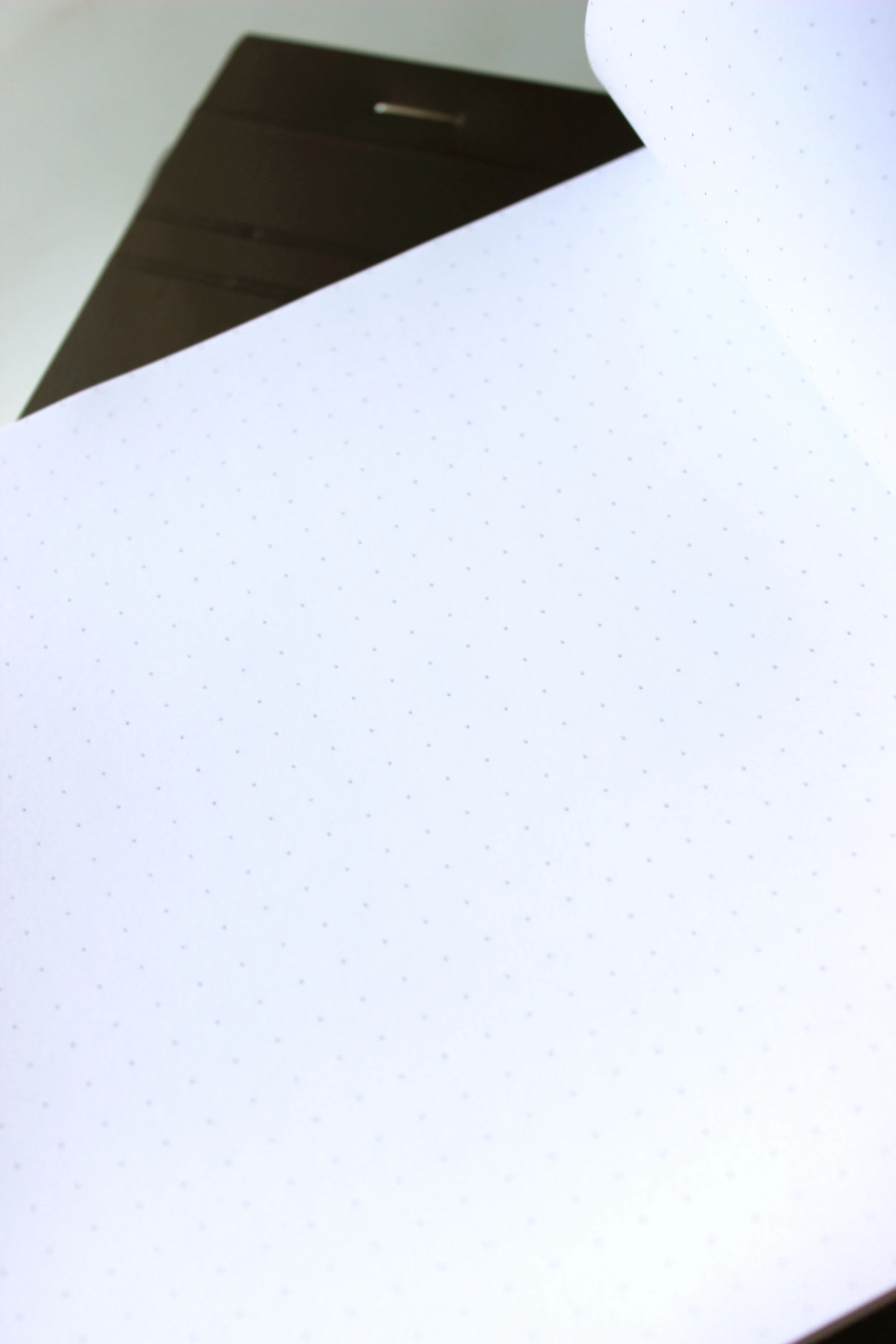 dotpas-6x84.JPG