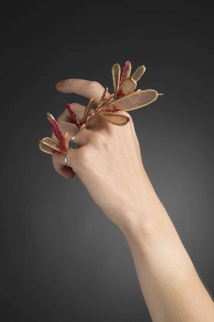 Chrysalis Rings 3.jpg