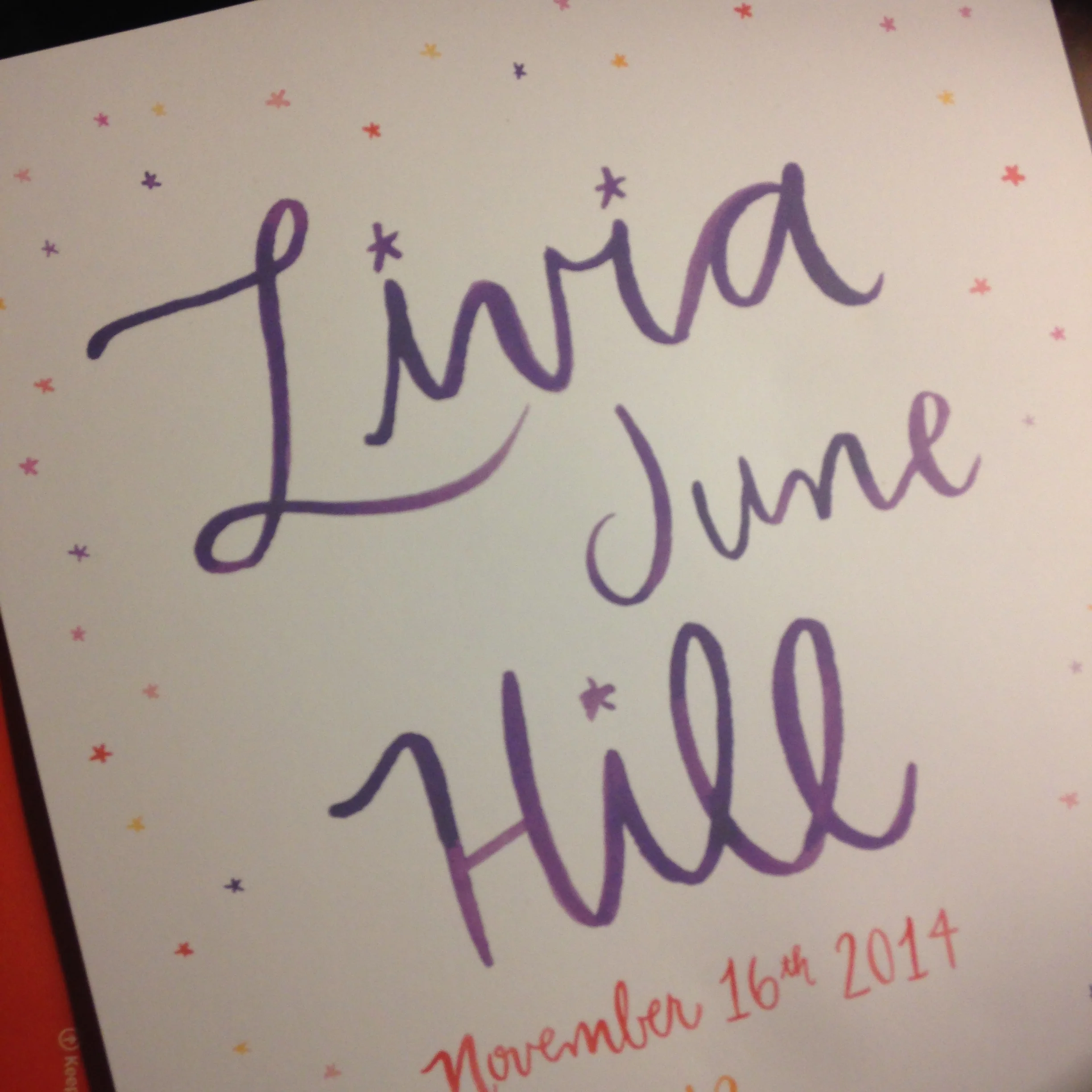 Baby Hill Birth Announcement