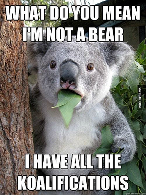 Koala.jpg