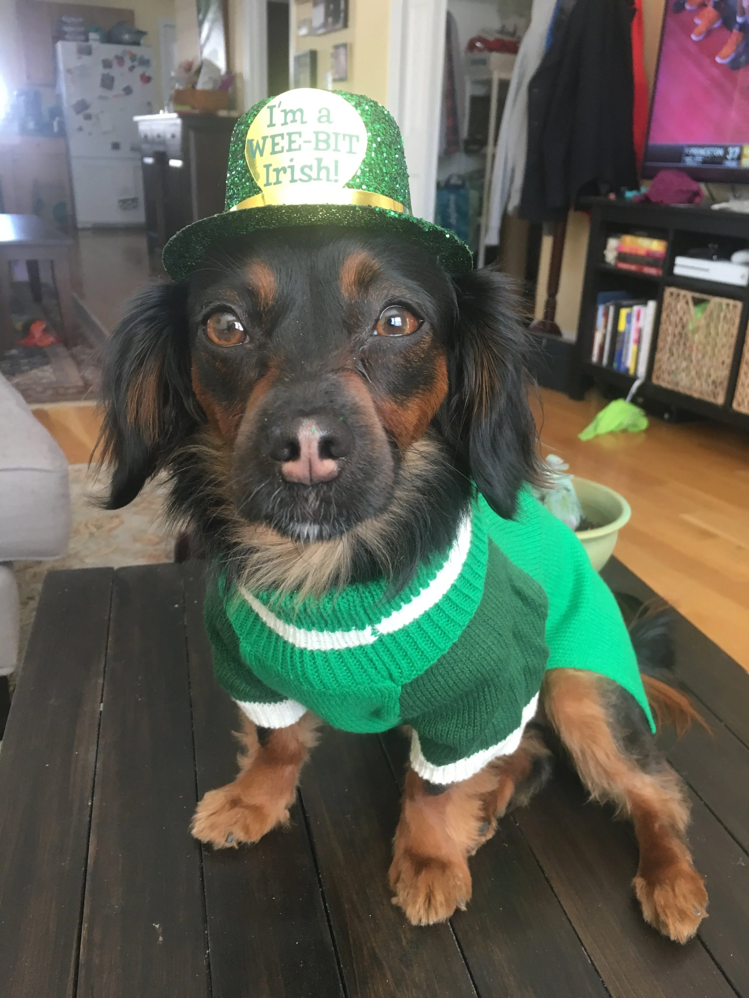 St. Patrick's Day