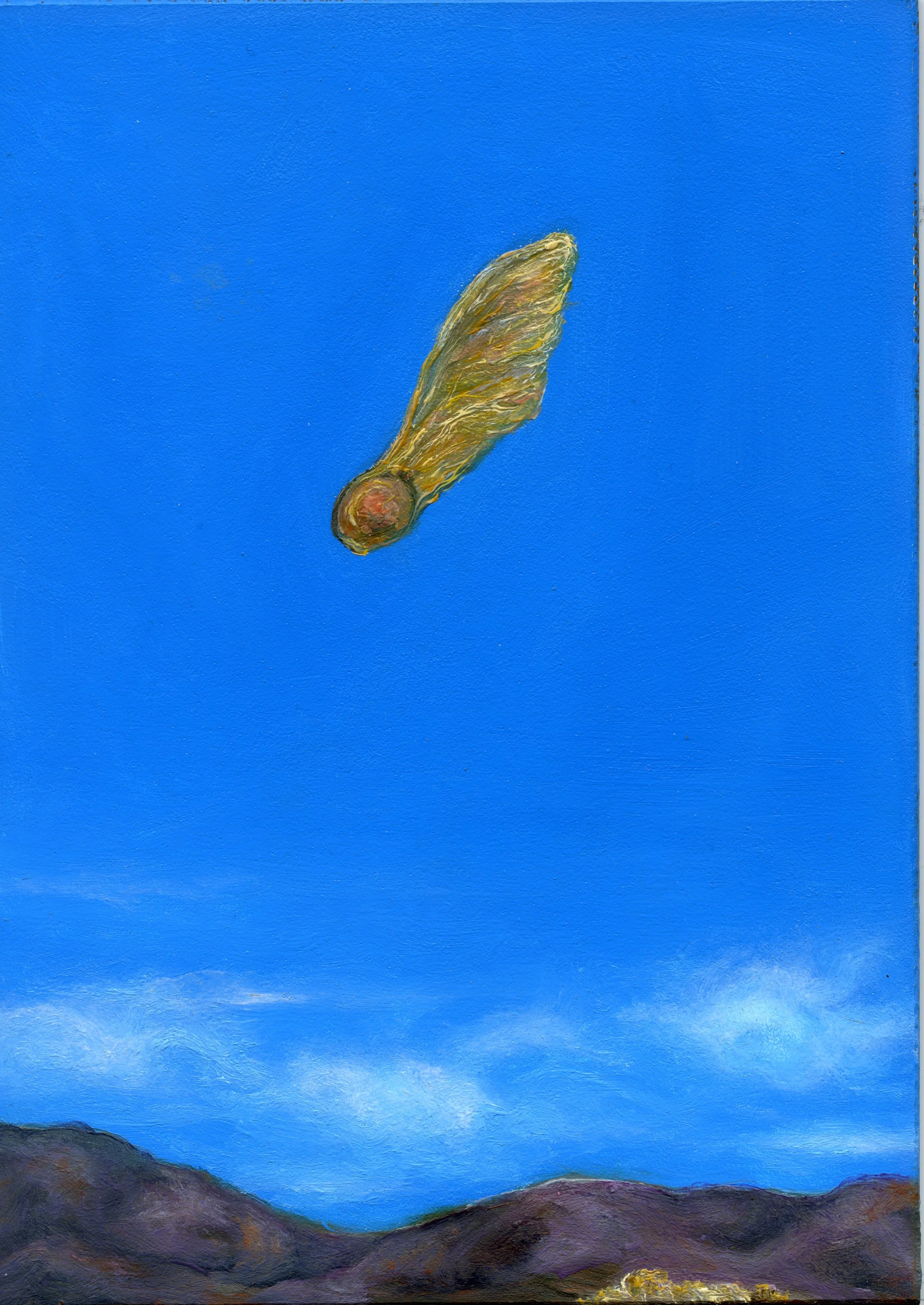 Autorotation. 2013. Oil on panel. 7 x 5 in. (17.8 x 12.7 cm) 