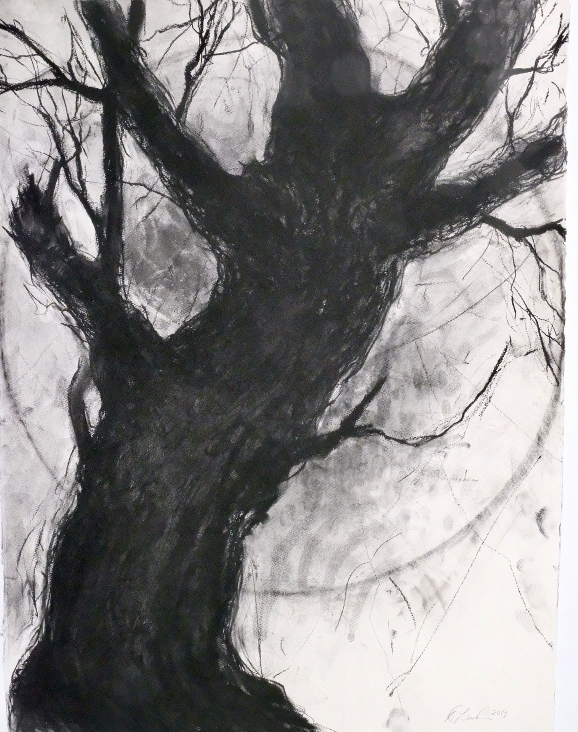 Burnt Oak (Indra’s Net). 2023. Charcoal and black chalk on paper. 30 x 22 inches. (76.2 x 55.9 cm)