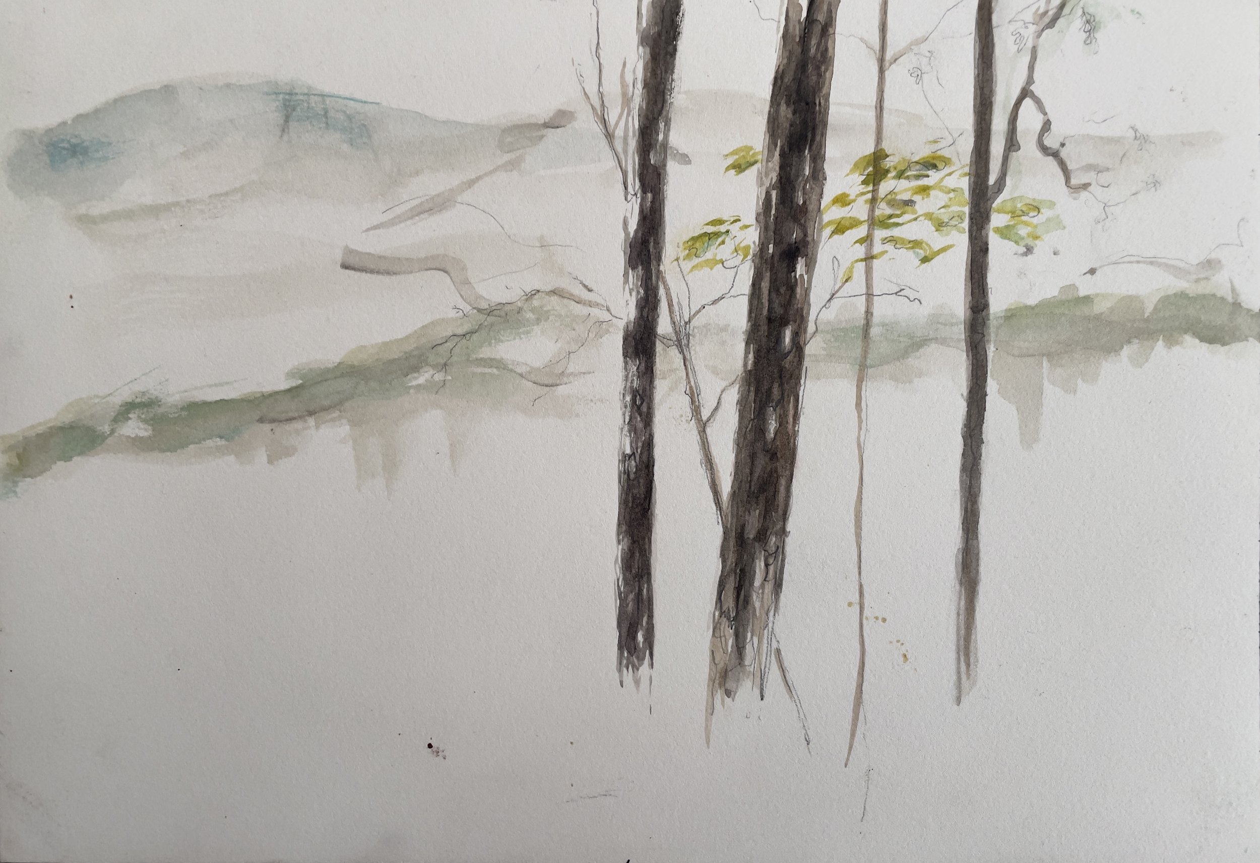 View over TOAD Ranch. 2019. Watercolor and graphite on paper. 7 x 10¼ in. (17.8 x 26 cm)