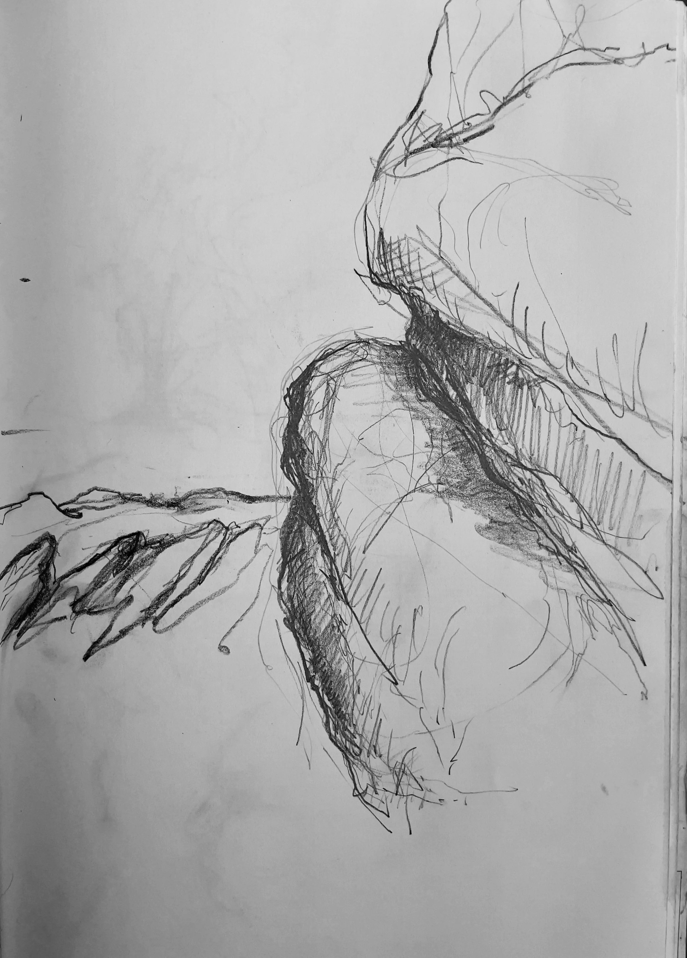 Vasquez Rocks Natural Area. 2021. Graphite on paper. Graphite on paper. 9⅝ x 6⅞ in. (24.5 x 17.5 cm)