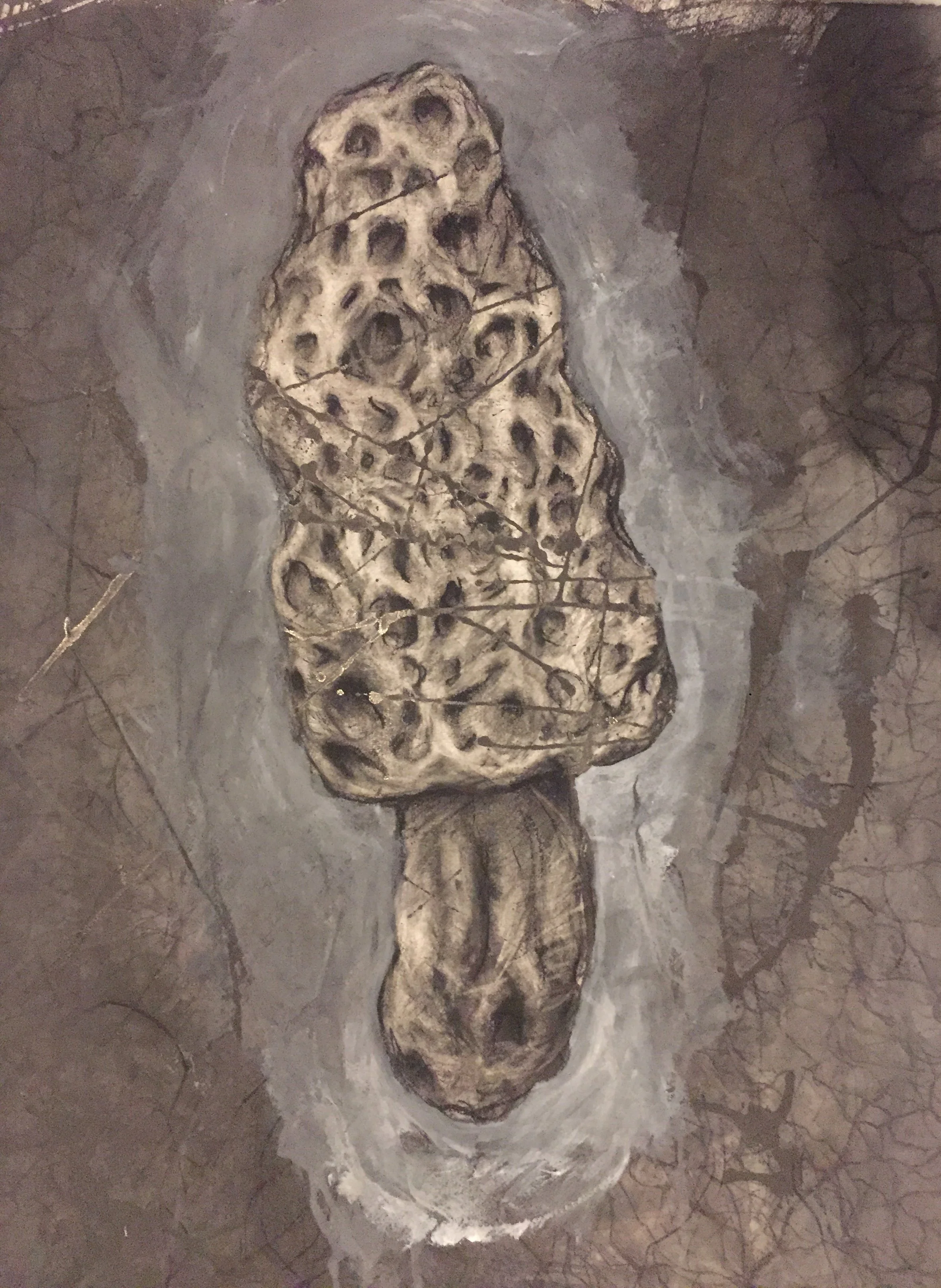 Bound Morel (Indra's Net). 2022. Charcoal and black chalk on paper. 30 x 22 in. (76.2 x 55.9 cm)