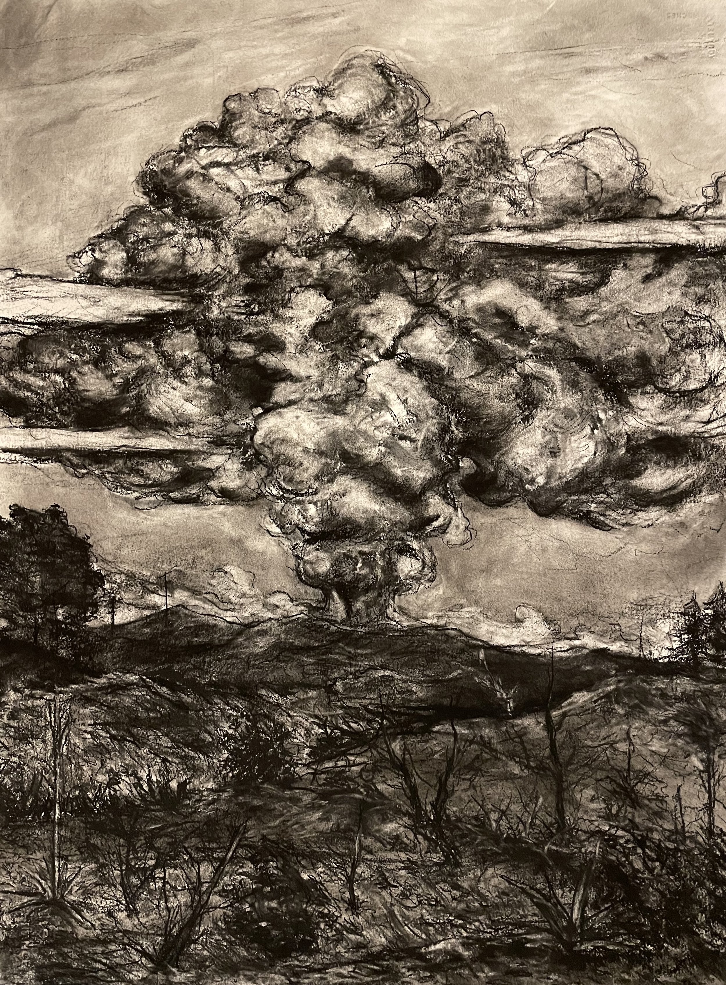 Pyrocumulonimbus Flammagenitus Cloud Formed by the Hughes Lake Fire (Indra’s Net). 2020. Charcoal on paper. 30 x 22 inches. (76.2 x 55.9 cm)