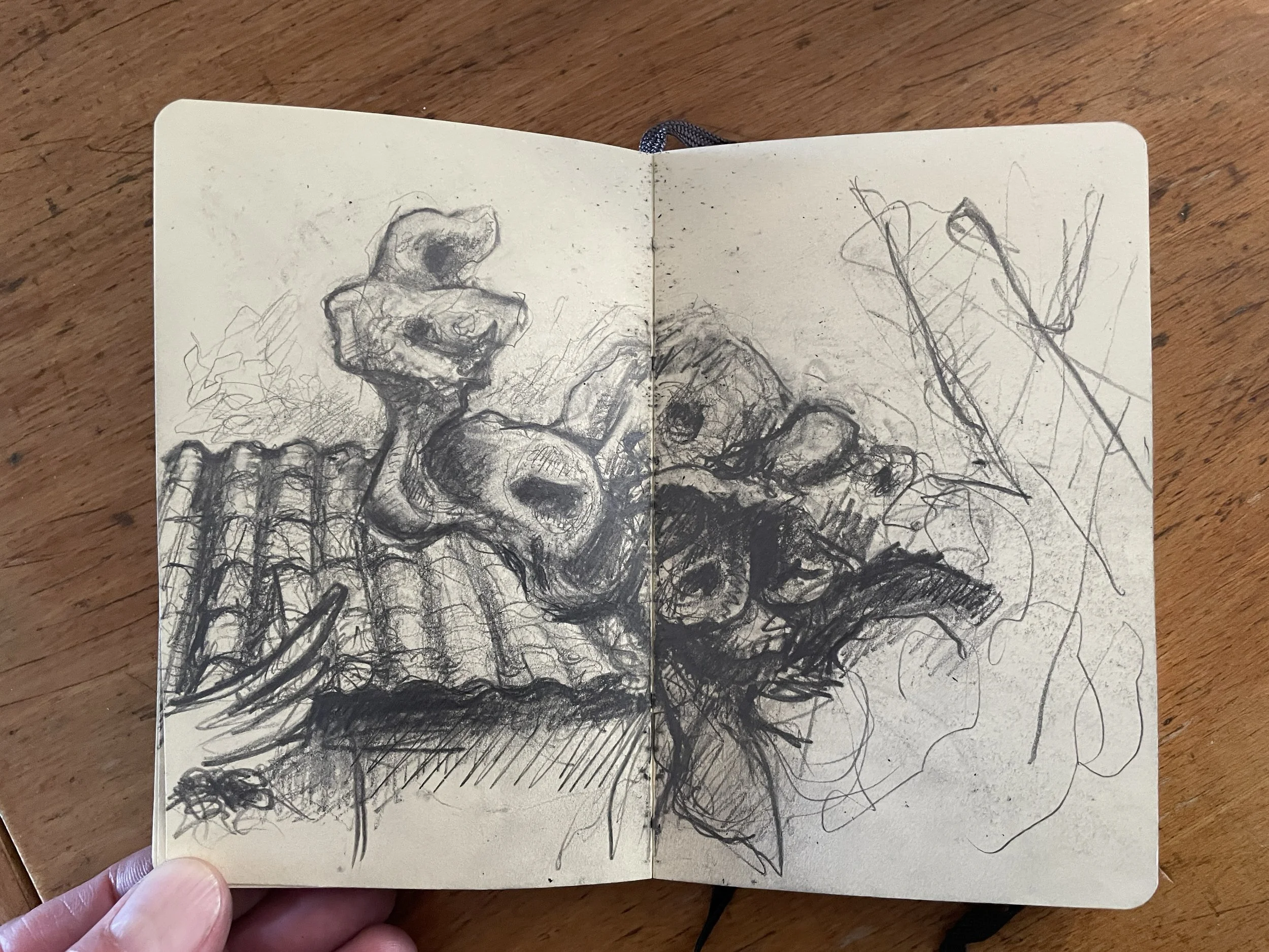 IMG_0412.jpeg