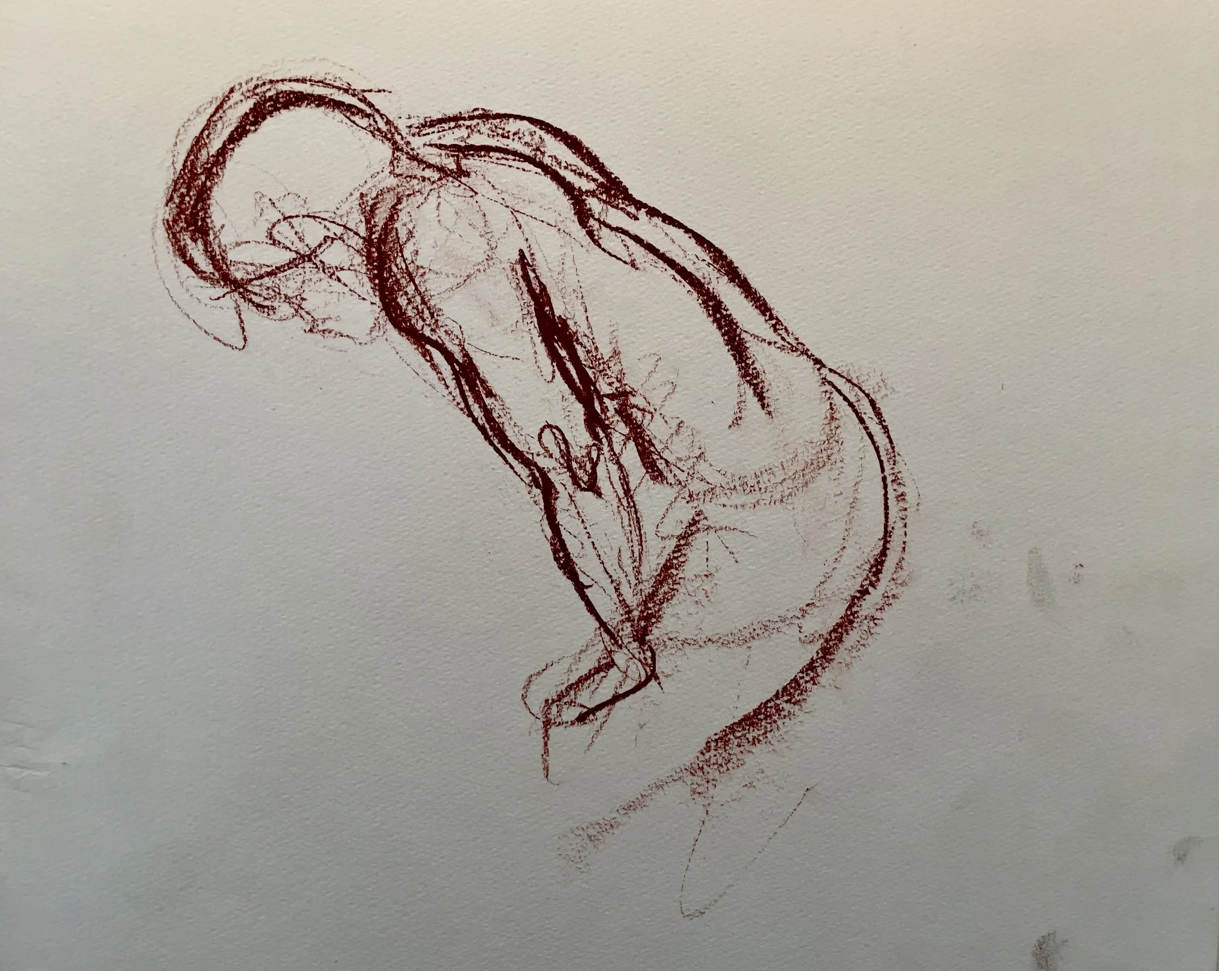 IMG_0381.jpeg