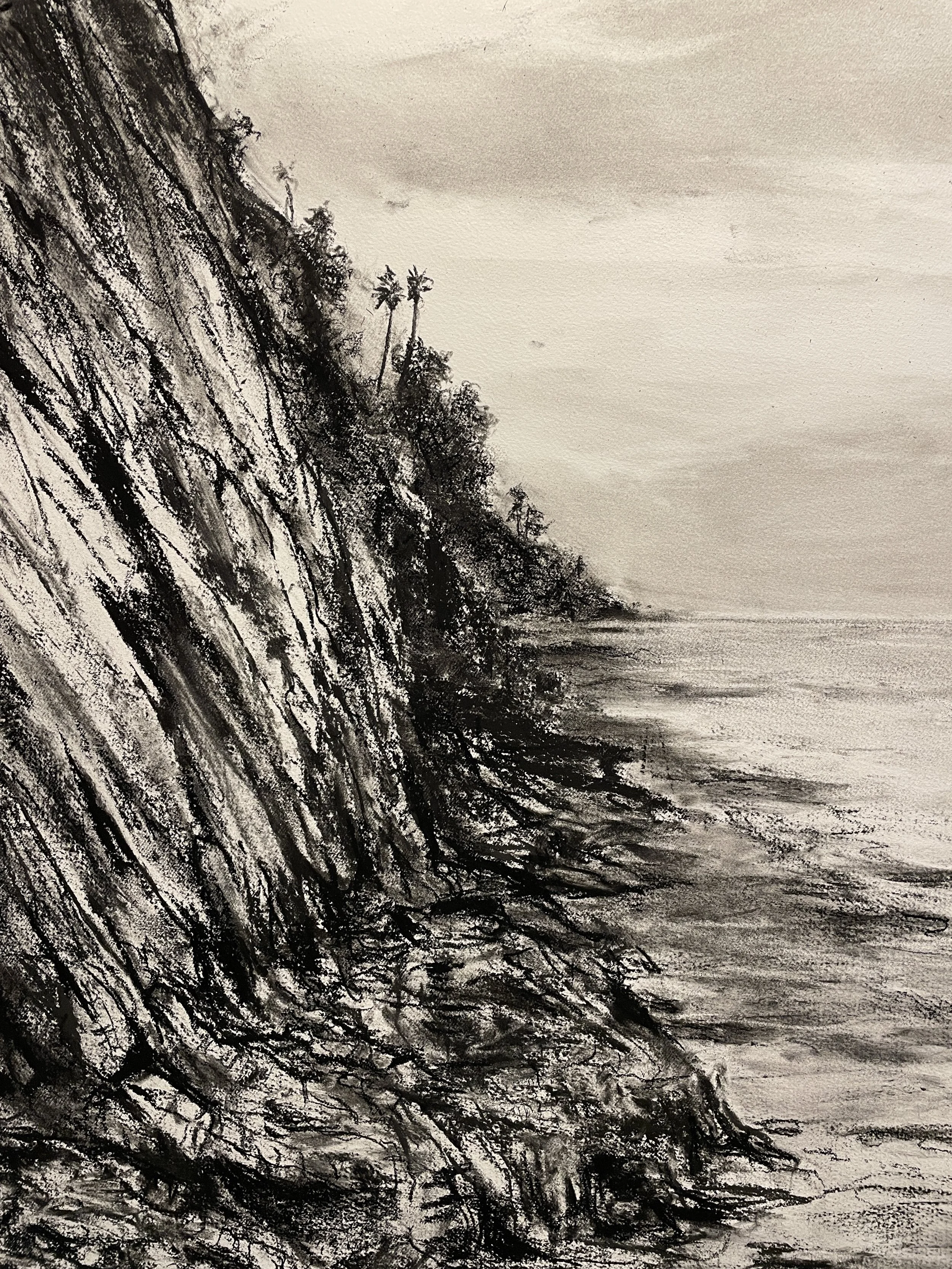 Santa Barbara Coast. (Indra’s Net). 2023. Charcoal on paper. 30 x 22 inches. (76.2 x 55.9 cm)