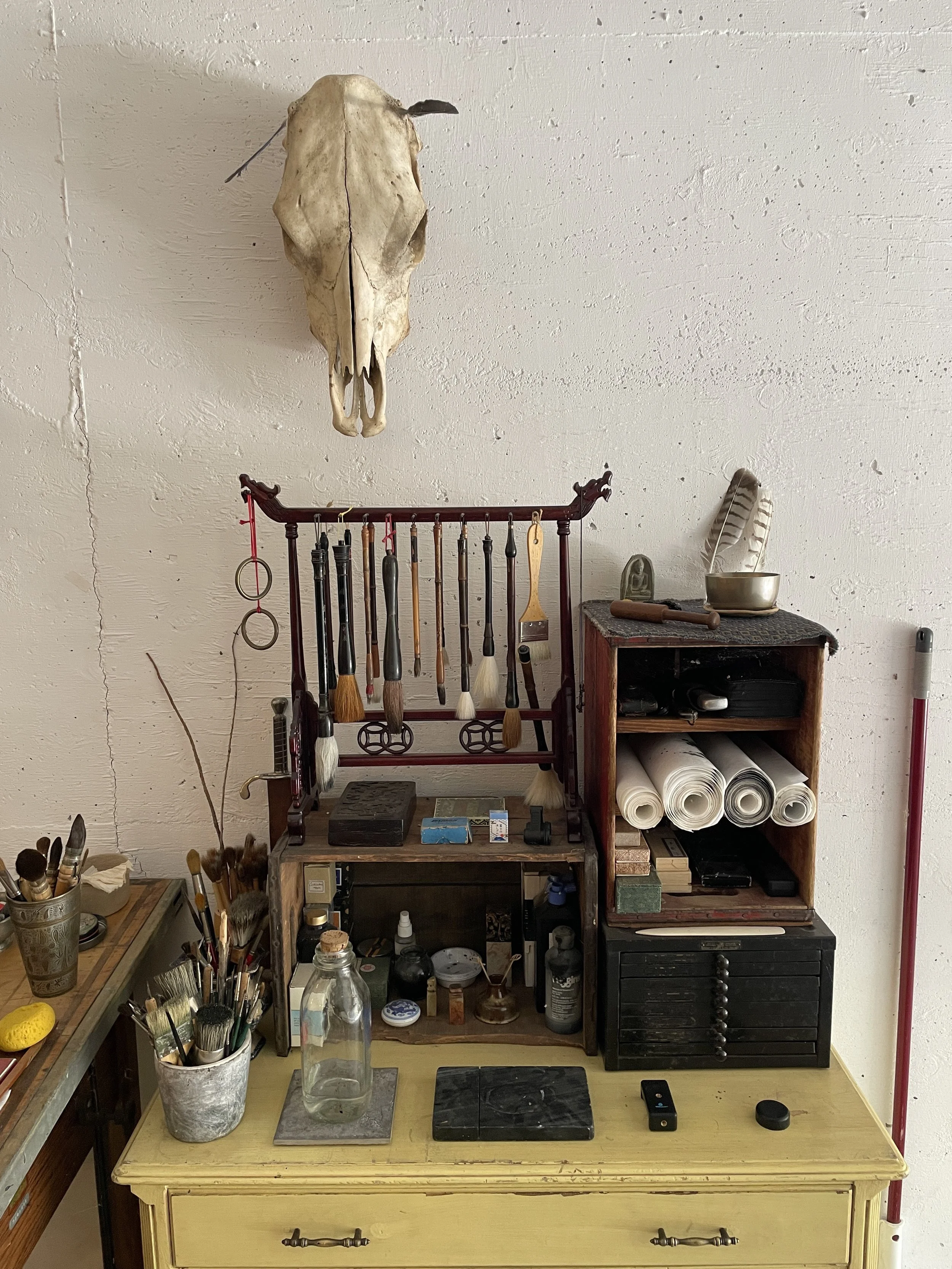 A skull of a small animal, possibly a fox or a dog, mounted on a white wall. Below it, a wooden stand holds various artist brushes and tools, and a small wooden shelf contains rolled-up papers, feathers, and other miscellaneous items.