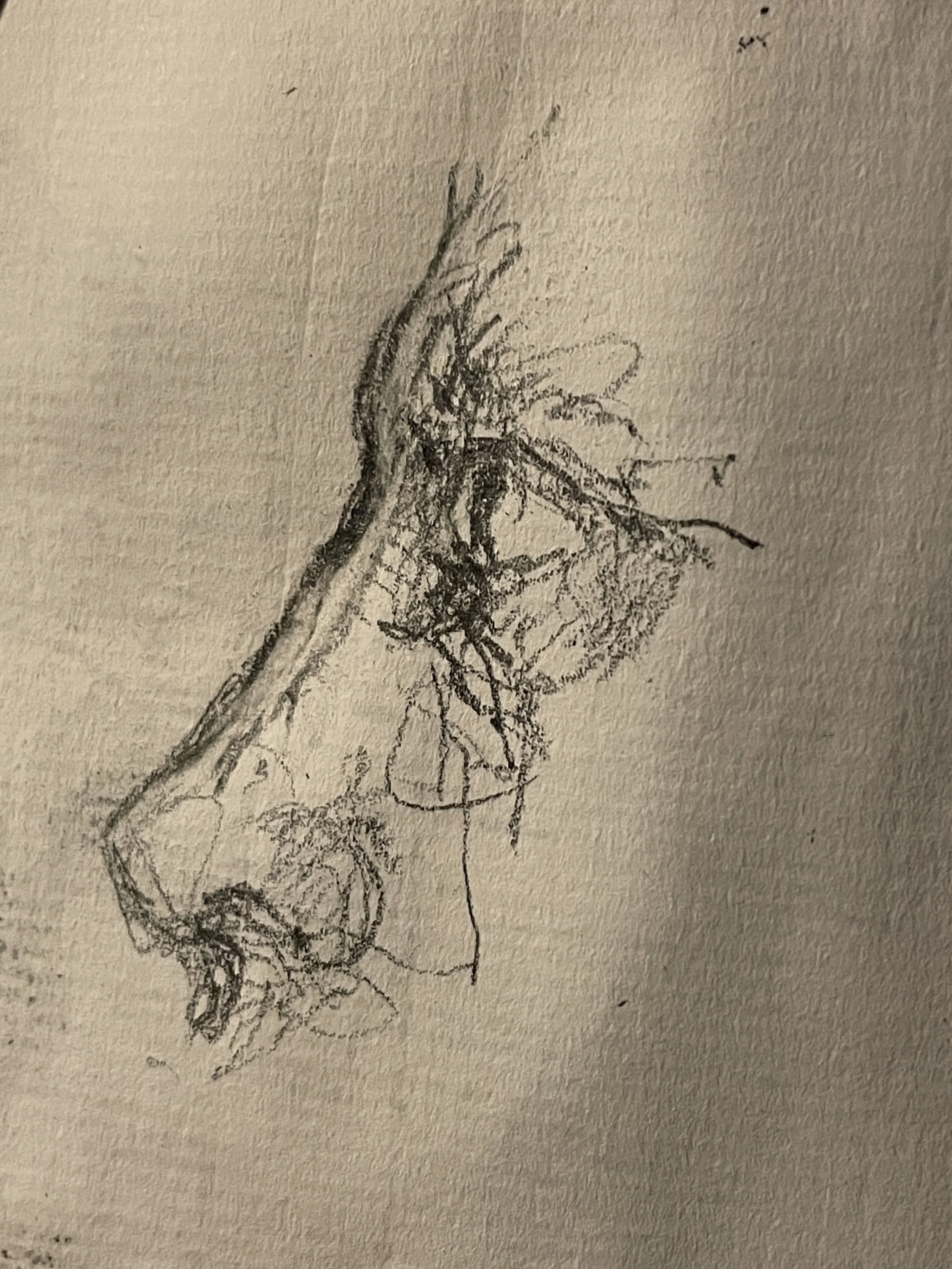 IMG_0162.jpeg