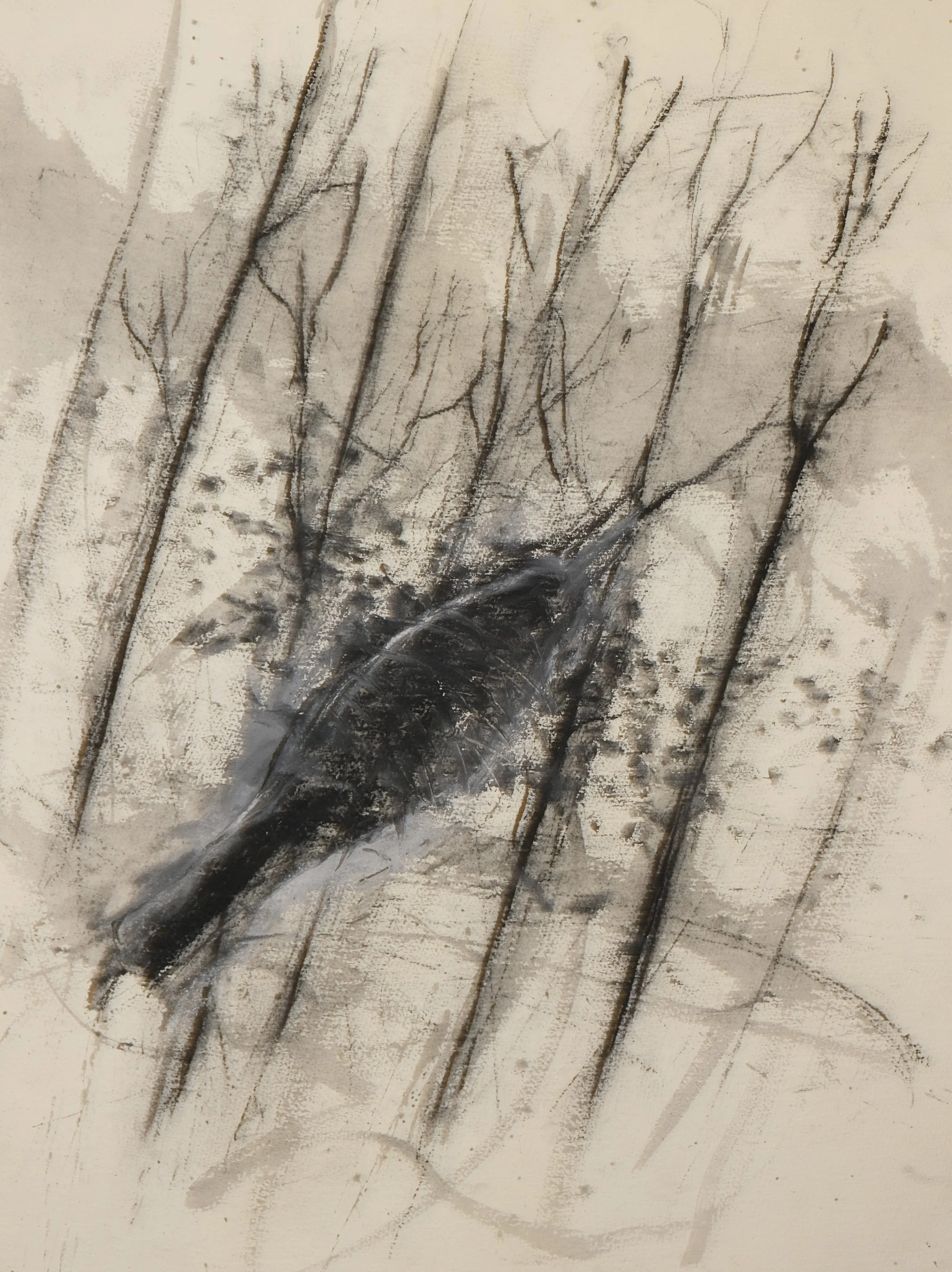 DSCF1632.JPG