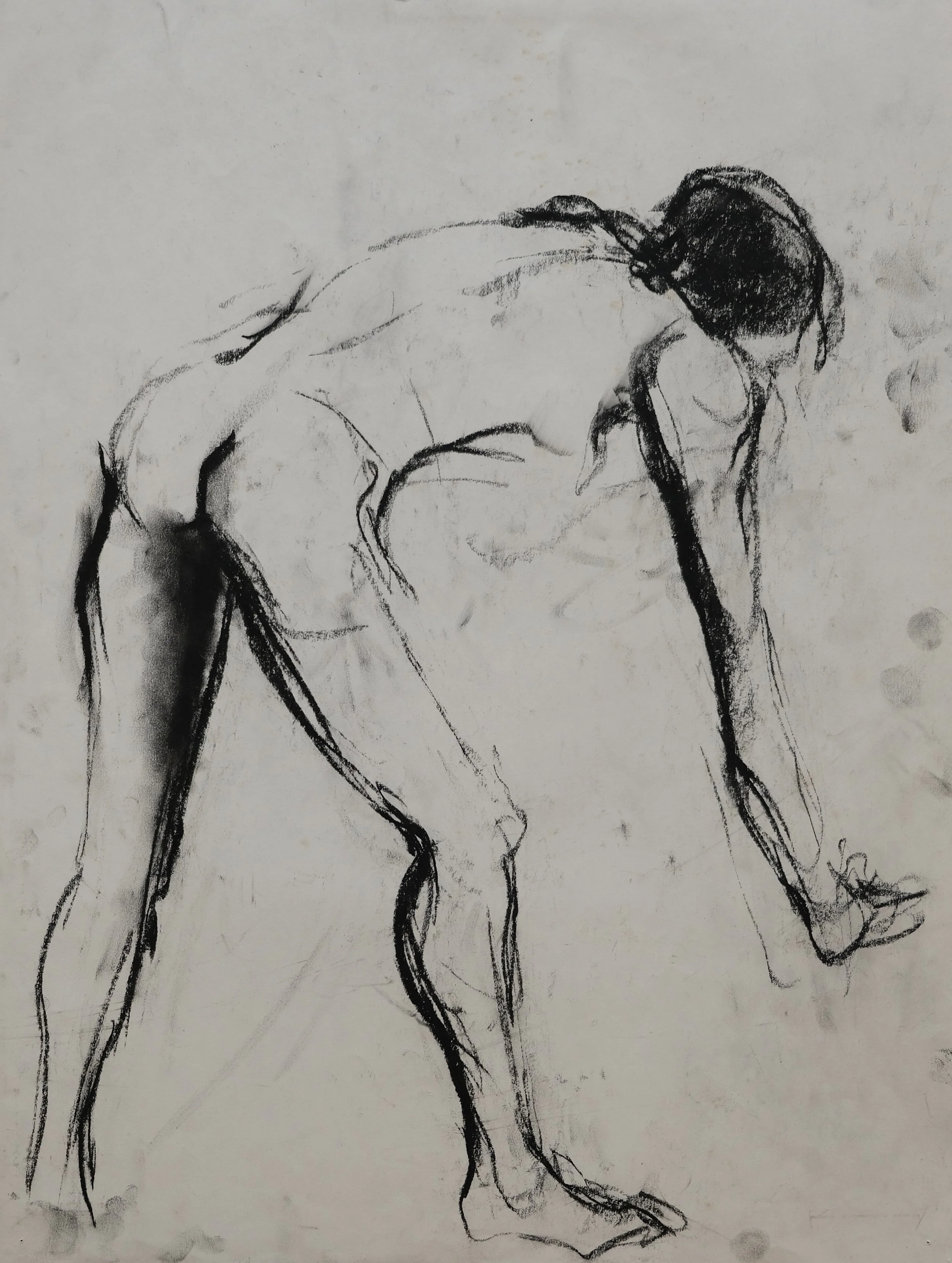DSCF1593.JPG