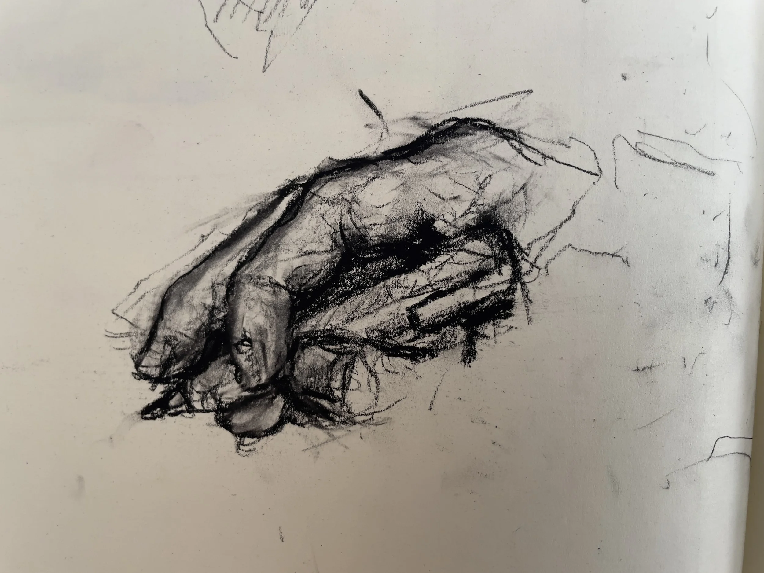 IMG_0206.jpeg