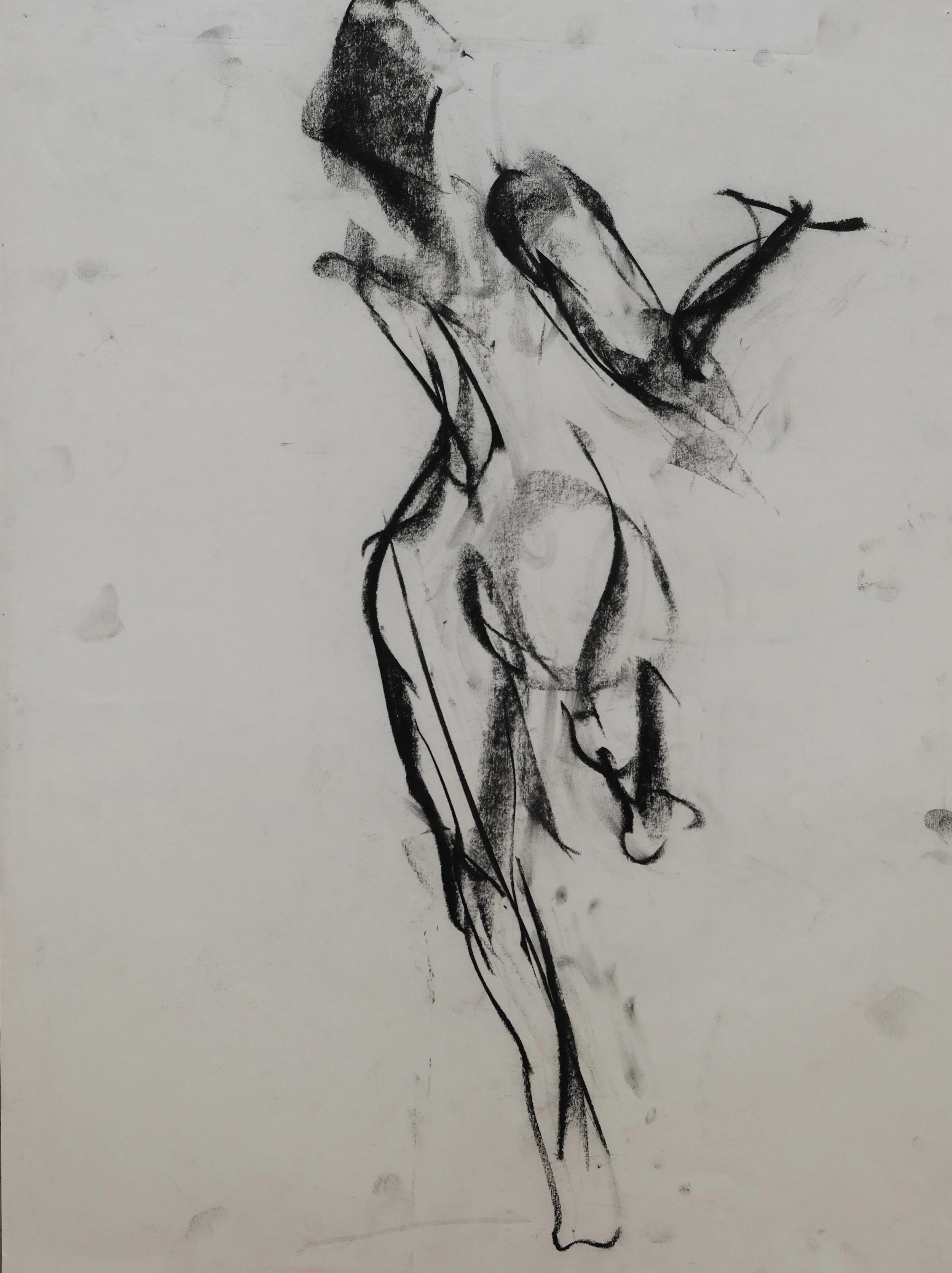 DSCF1590.JPG