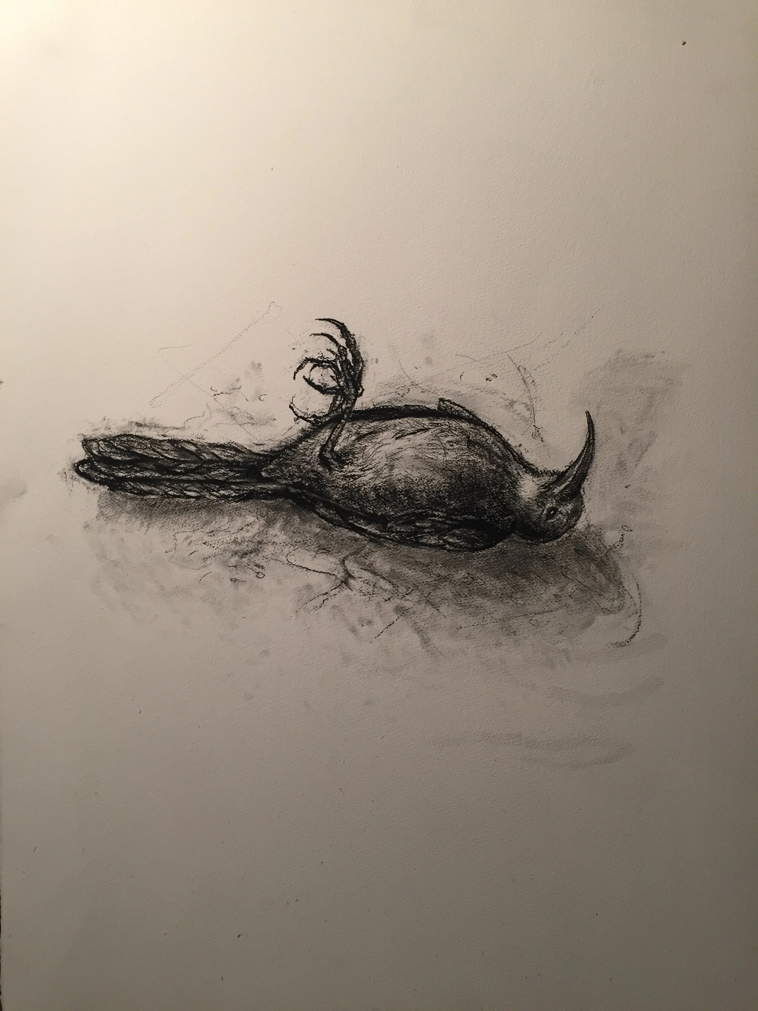 California Thrasher (Indra's Net). 2020. Charcoal and black chalk on paper. 30 x 22 in. (76.2 x 55.9 cm)