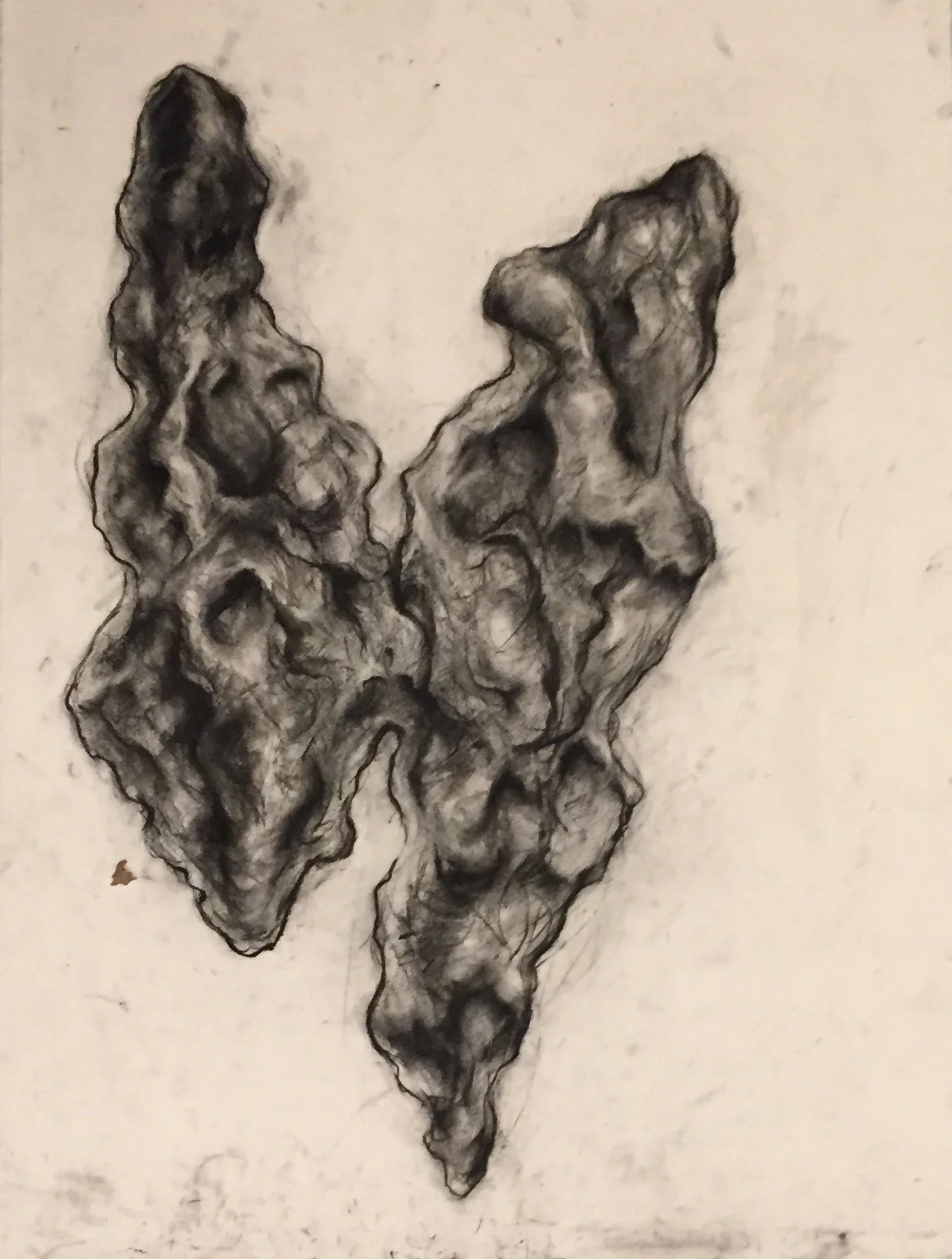 Ong Meteorite (Indra's Net). 2019. Charcoal and black chalk on paper. 30 x 22 in. (76.2 x 55.9 cm)