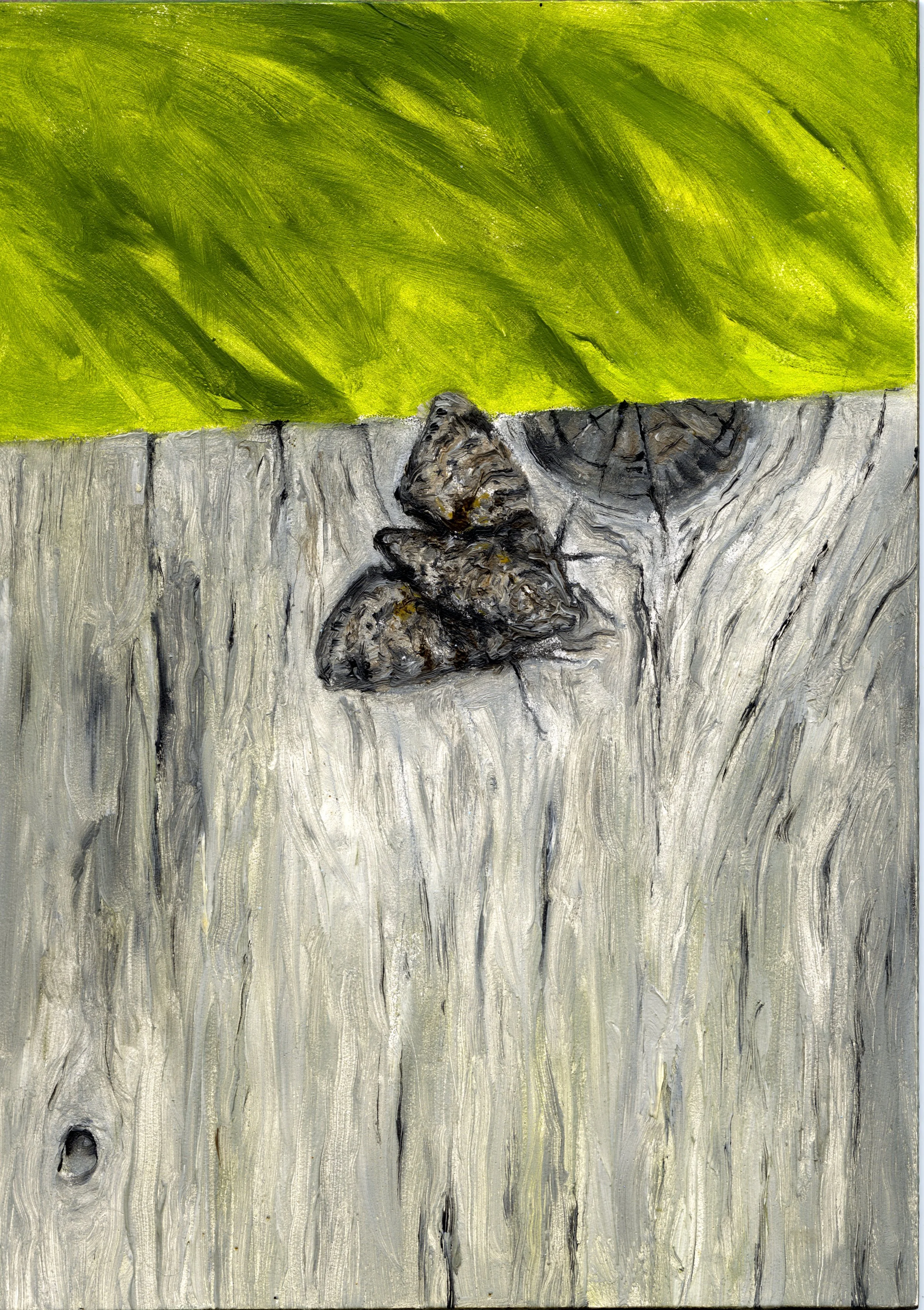 Moth. 2014. Oil on panel. 7 x 5 in. (17.8 x 12.7 cm) 
