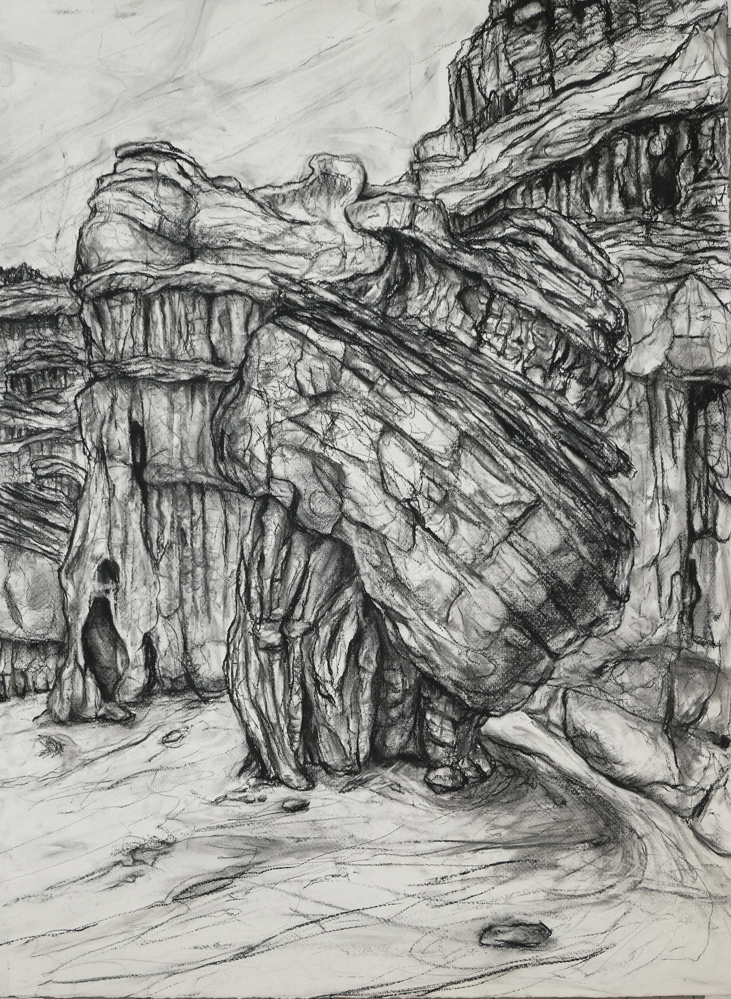 Red Rock Canyon State Park, Mojave (Indra's Net). 2021. Charcoal and black chalk on paper. 30 x 22 in. (76.2 x 55.9 cm)