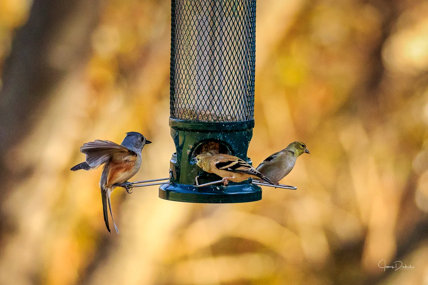 Here is a group having breakfast together.