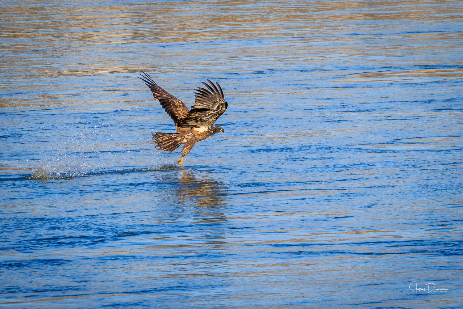 Gear down. I SEE YOU.