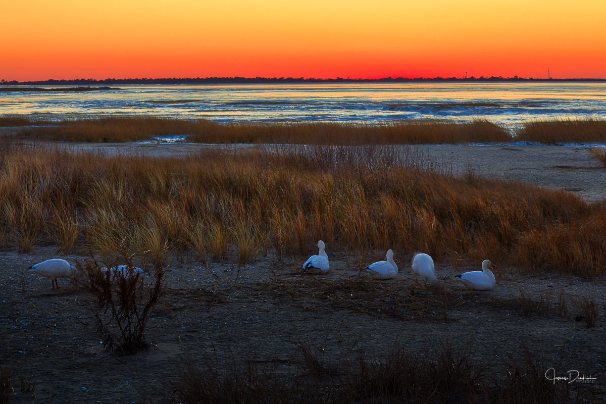 watching the sunset.jpg