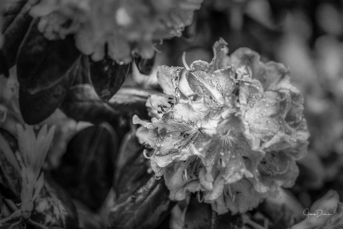 Gray day outside