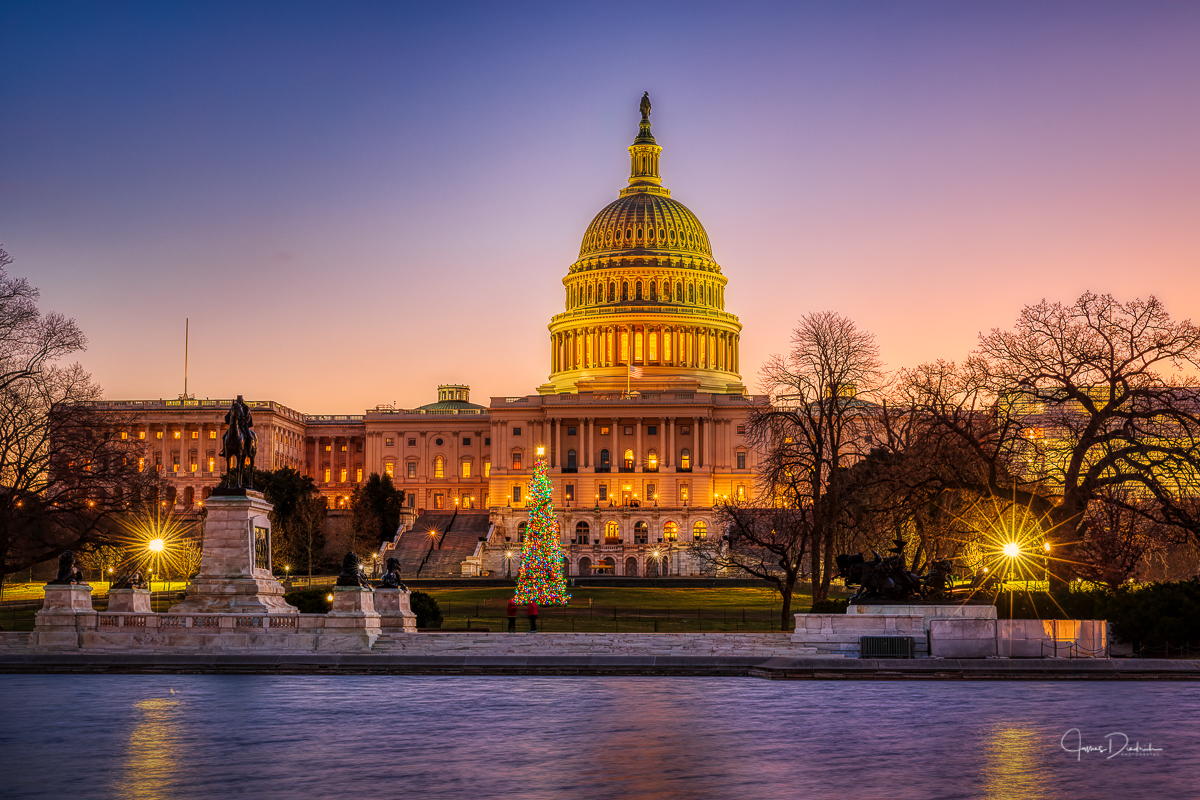 Capitol Christmas Tree at sunrise.