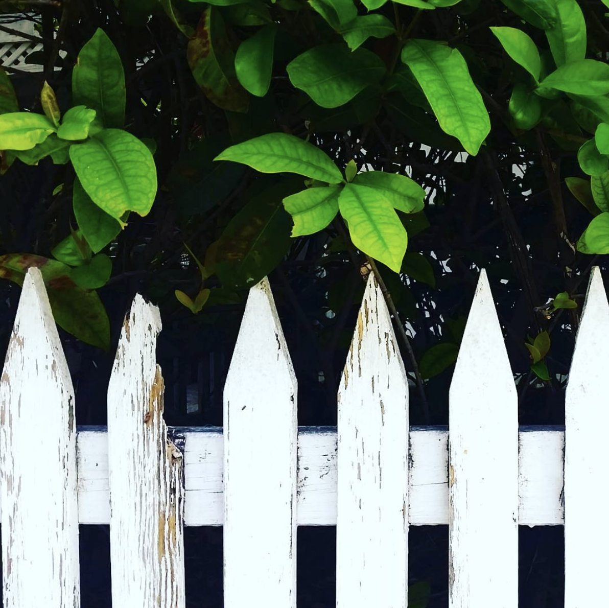 Screen Shot 2019-04-09 at 3.04.43 PM.png