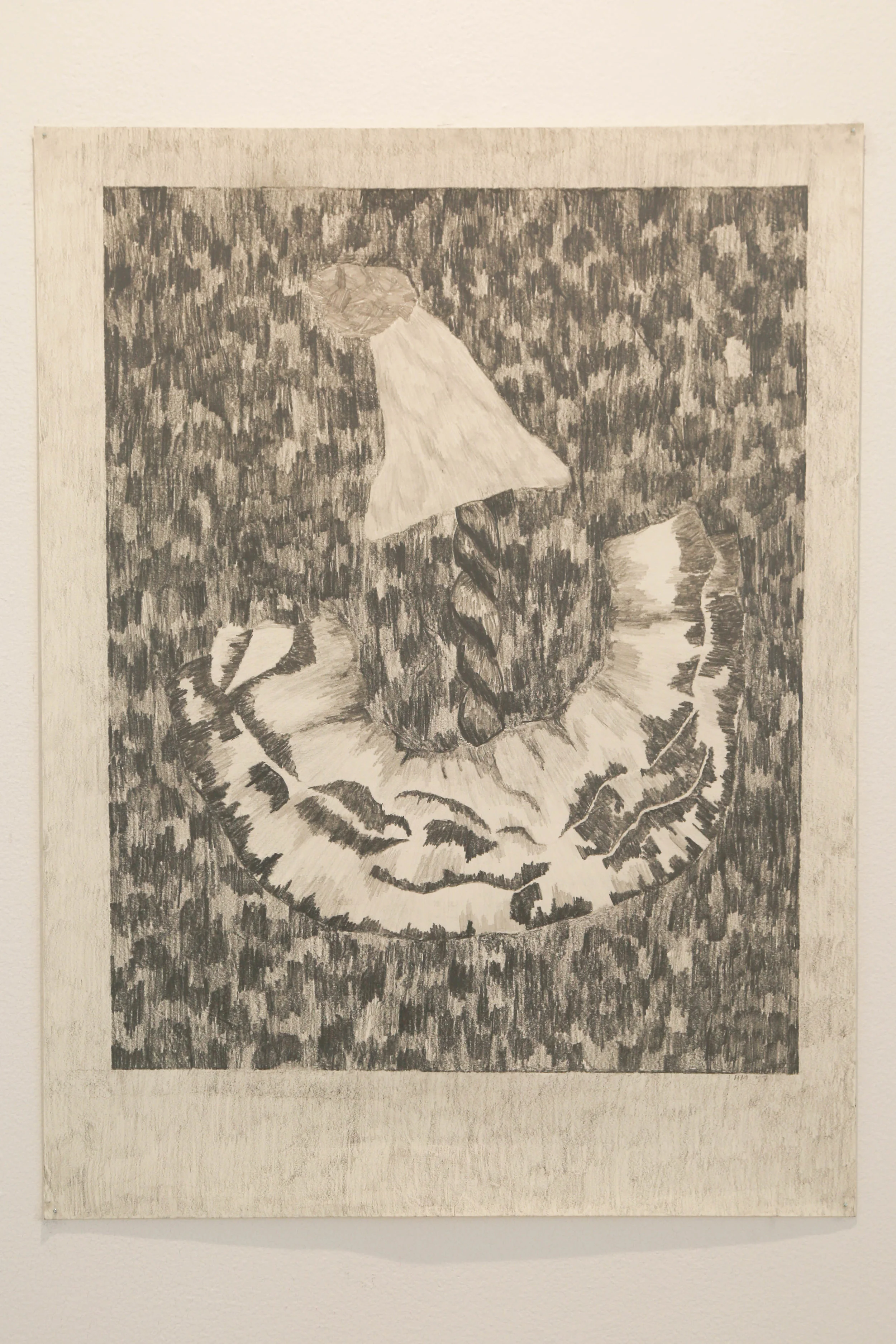 Braid of Affects , 2016, 18" x 24", Graphite on Paper