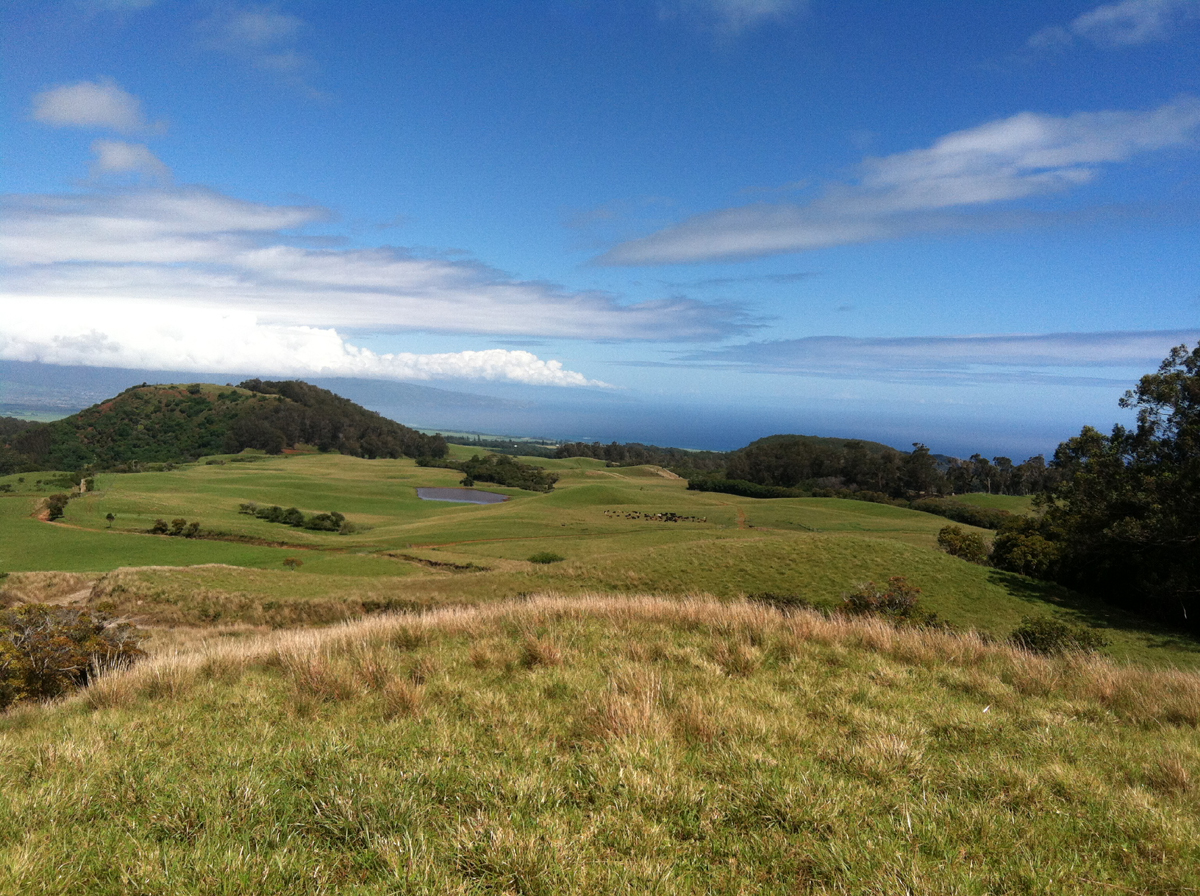 IMG_1296 Opening Photo.jpg