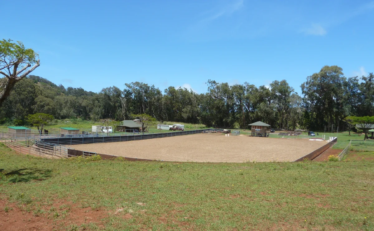 P1060512 arena from driveway.jpg