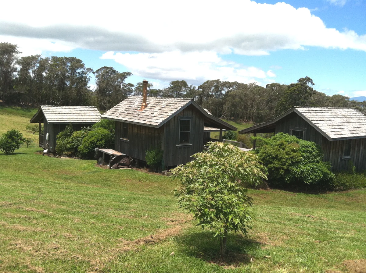 IMG_1357 cabins from back.jpg