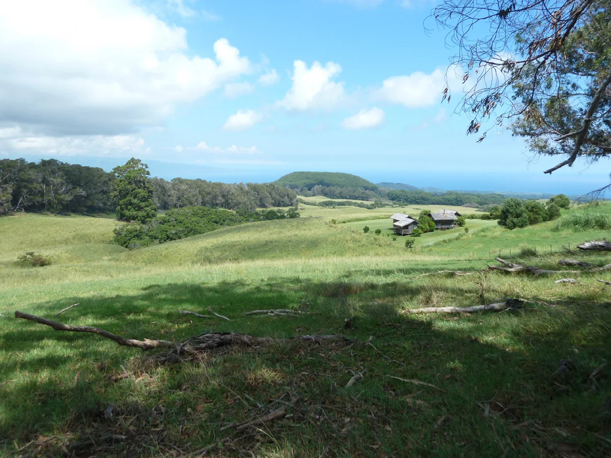 P1060701  cabin from trees new.jpg