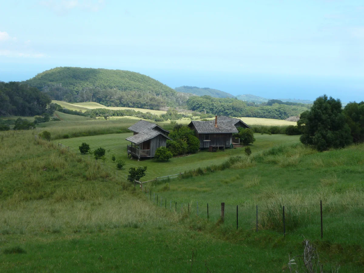 P1060710 cabin closeup from behind new 2.jpg