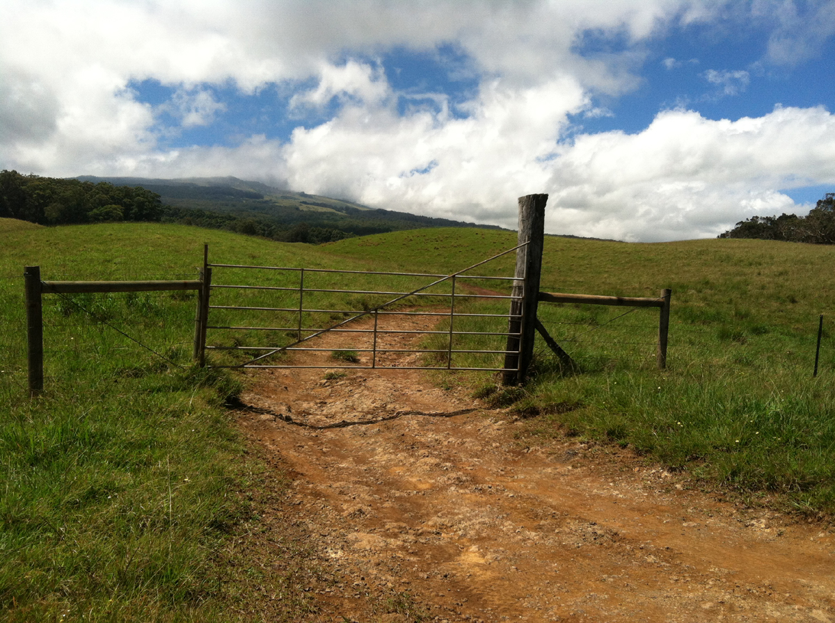 IMG_1311  gate eroded road to mauka copy.jpg