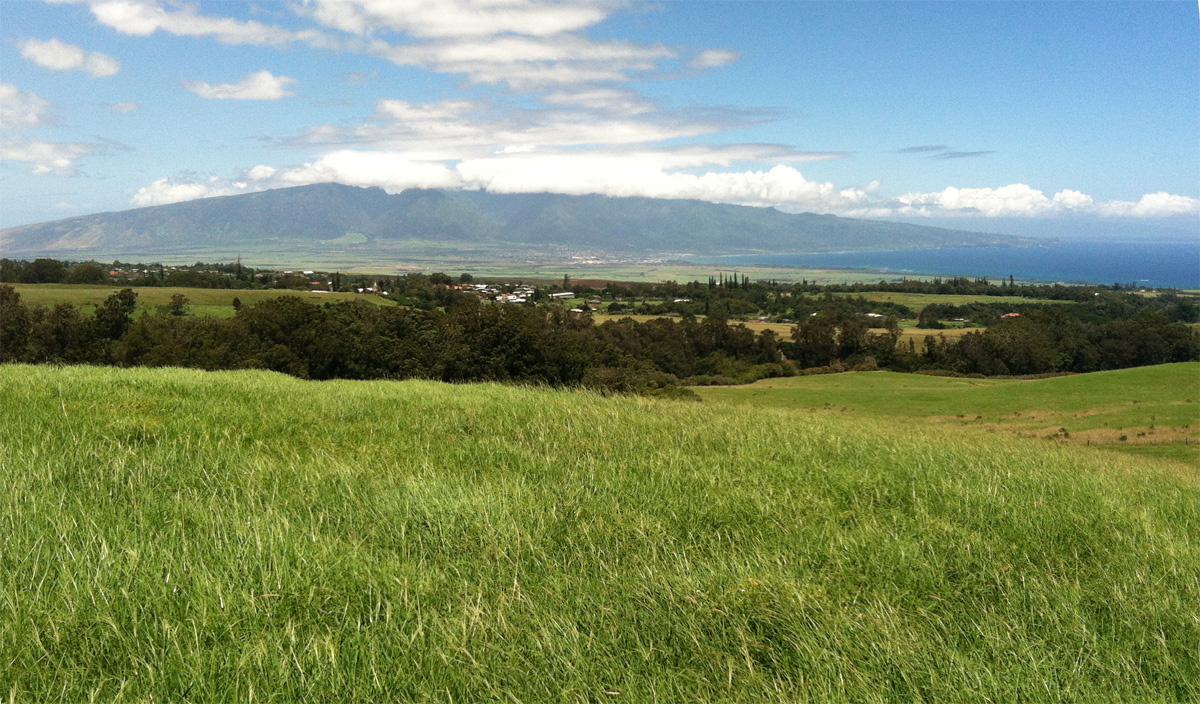 MAIN pasture imakai of piiholo hill to kahului.jpg