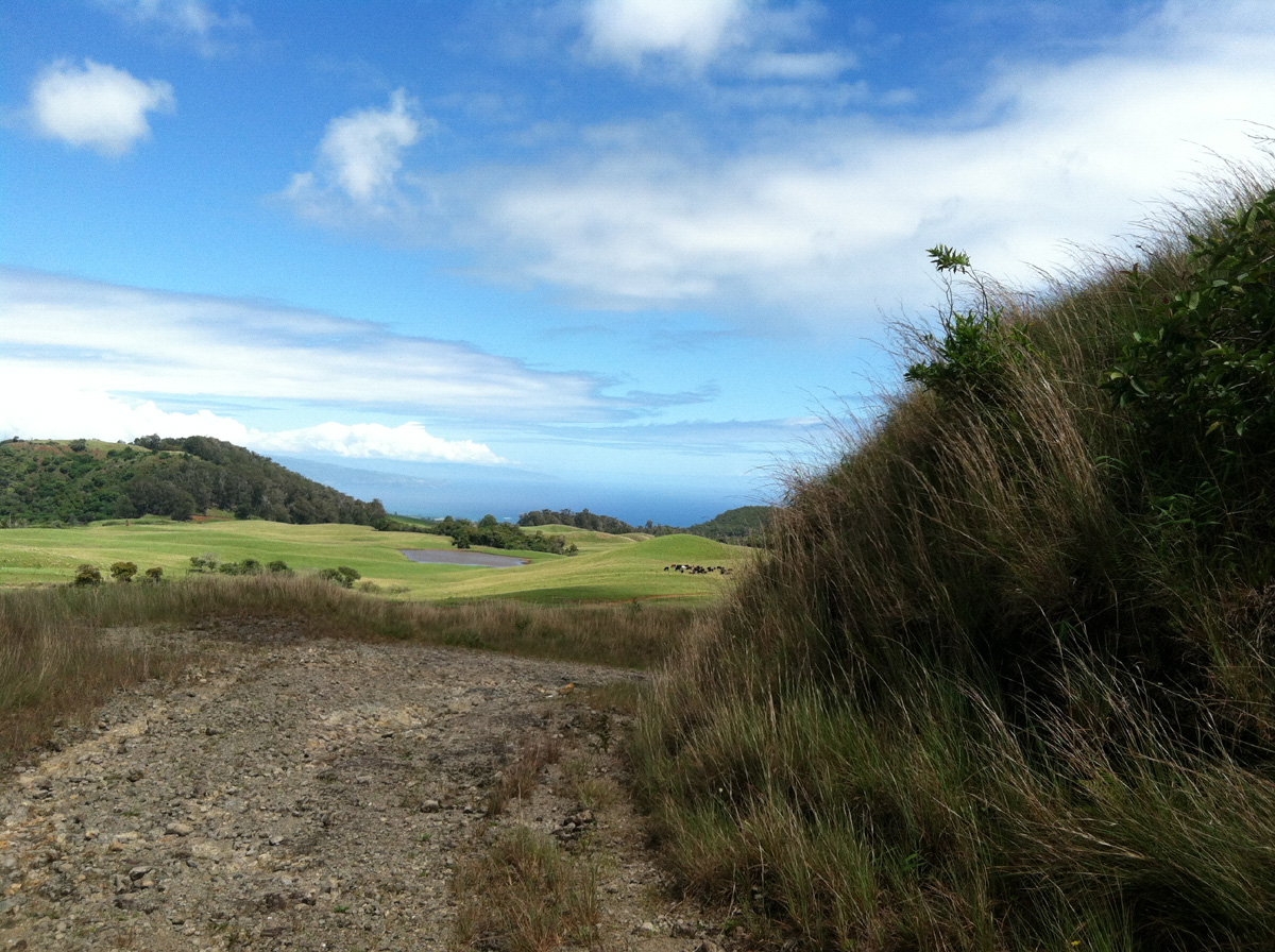 IMG_1305 funky road looking makai.jpg