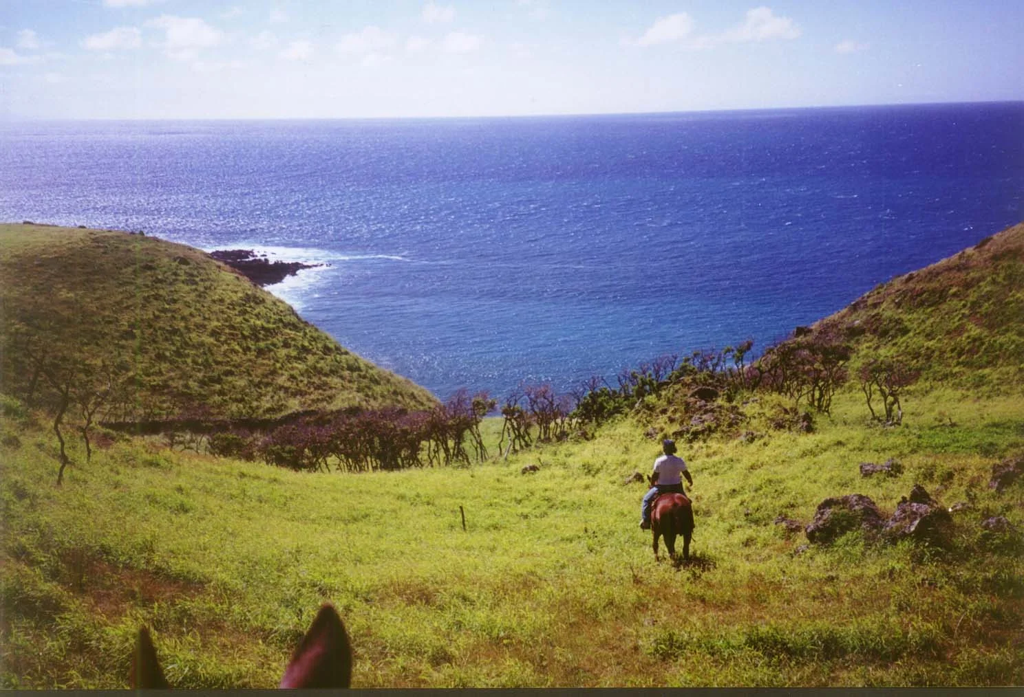 e Charley at Puumaneoneo.jpg