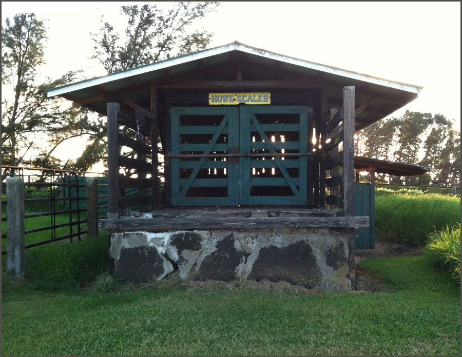 scale house finsihed.jpg