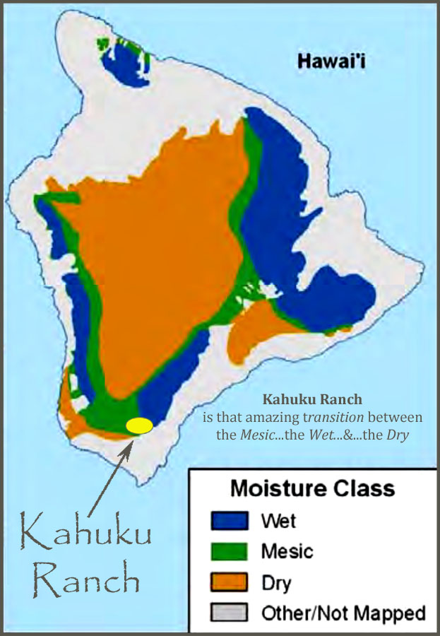 moisture map finished.jpg