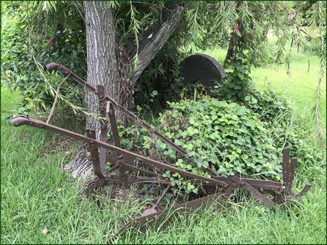 harrow  163  IMG_1163 .jpg