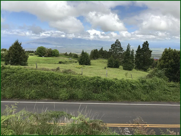 67  IMG_1067 copy.jpg