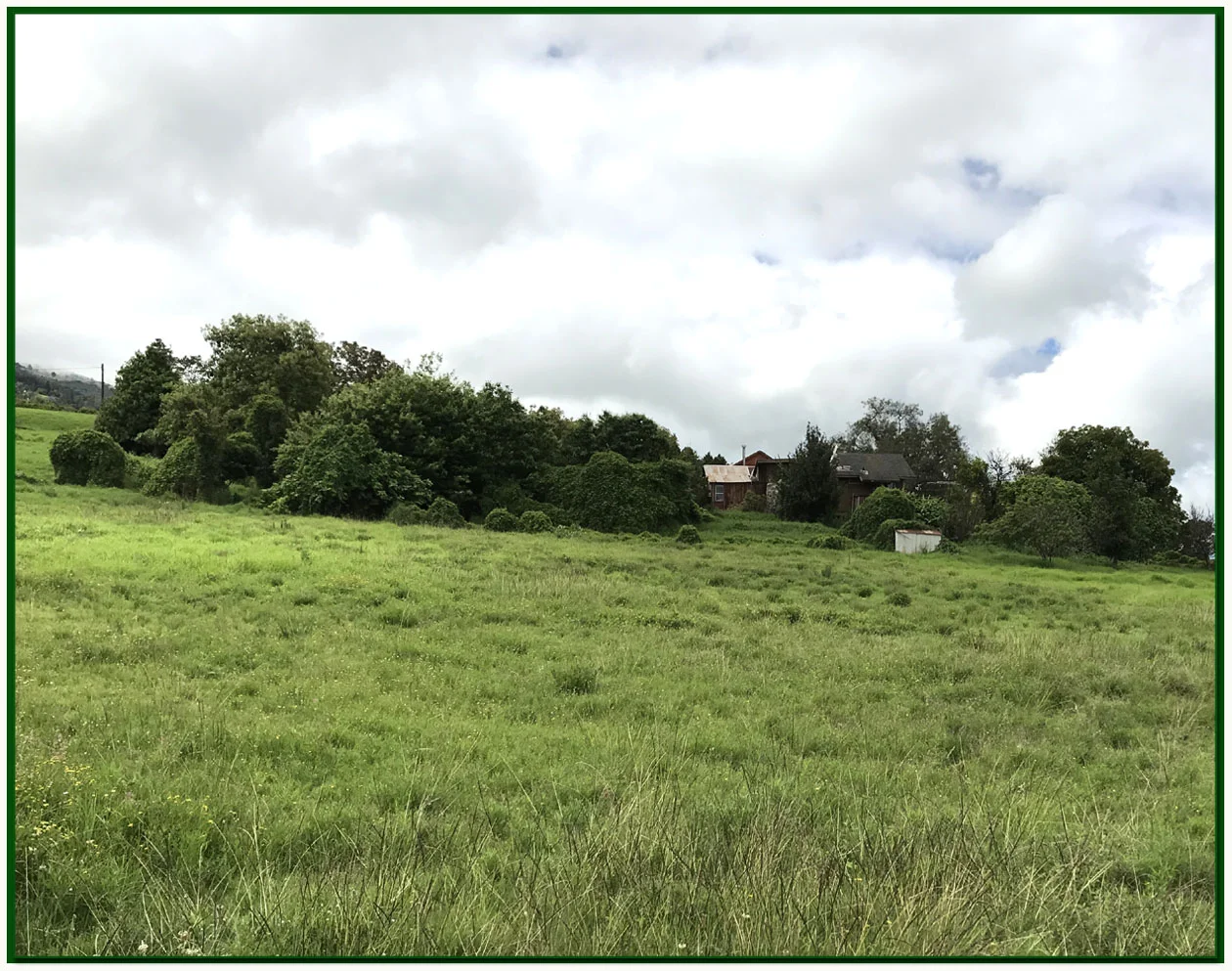 homestead from far.jpg