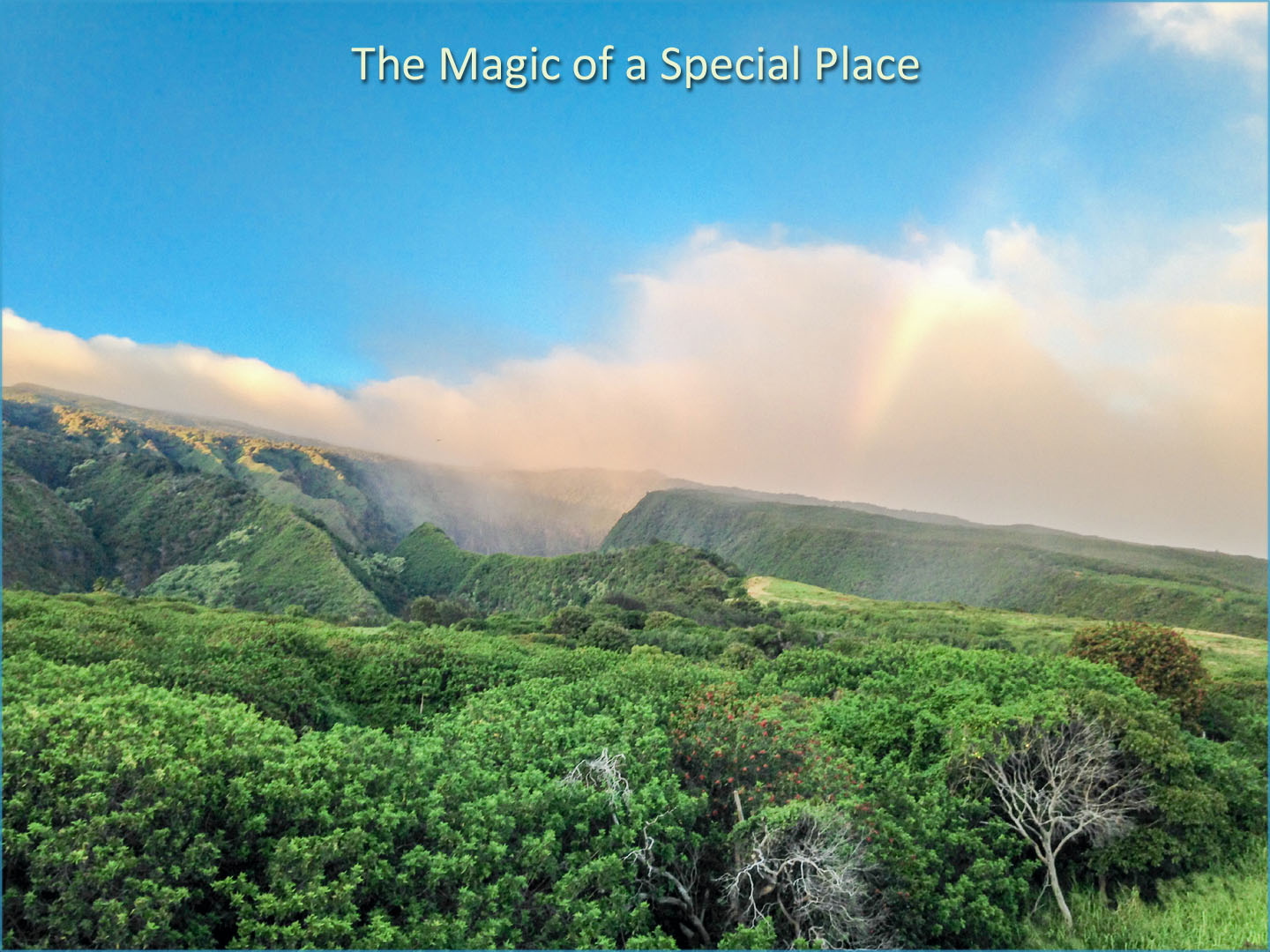 magic of special place.jpg
