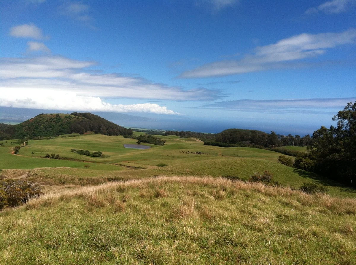 IMG_1296 Opening Photo.jpg