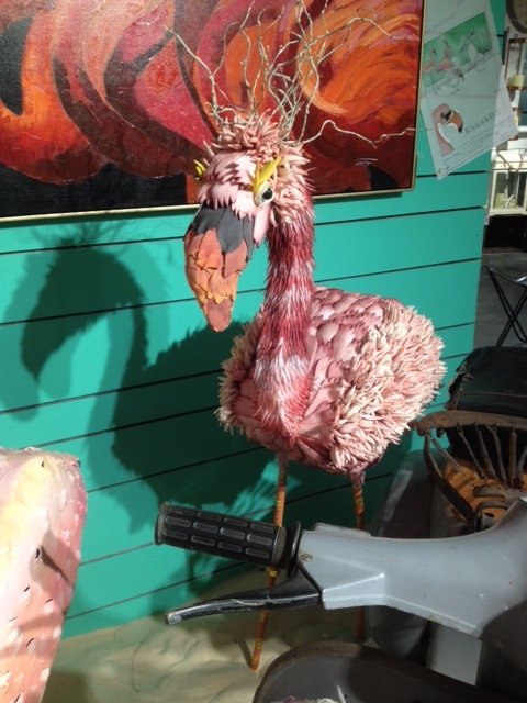 IMG_4617.jpeg